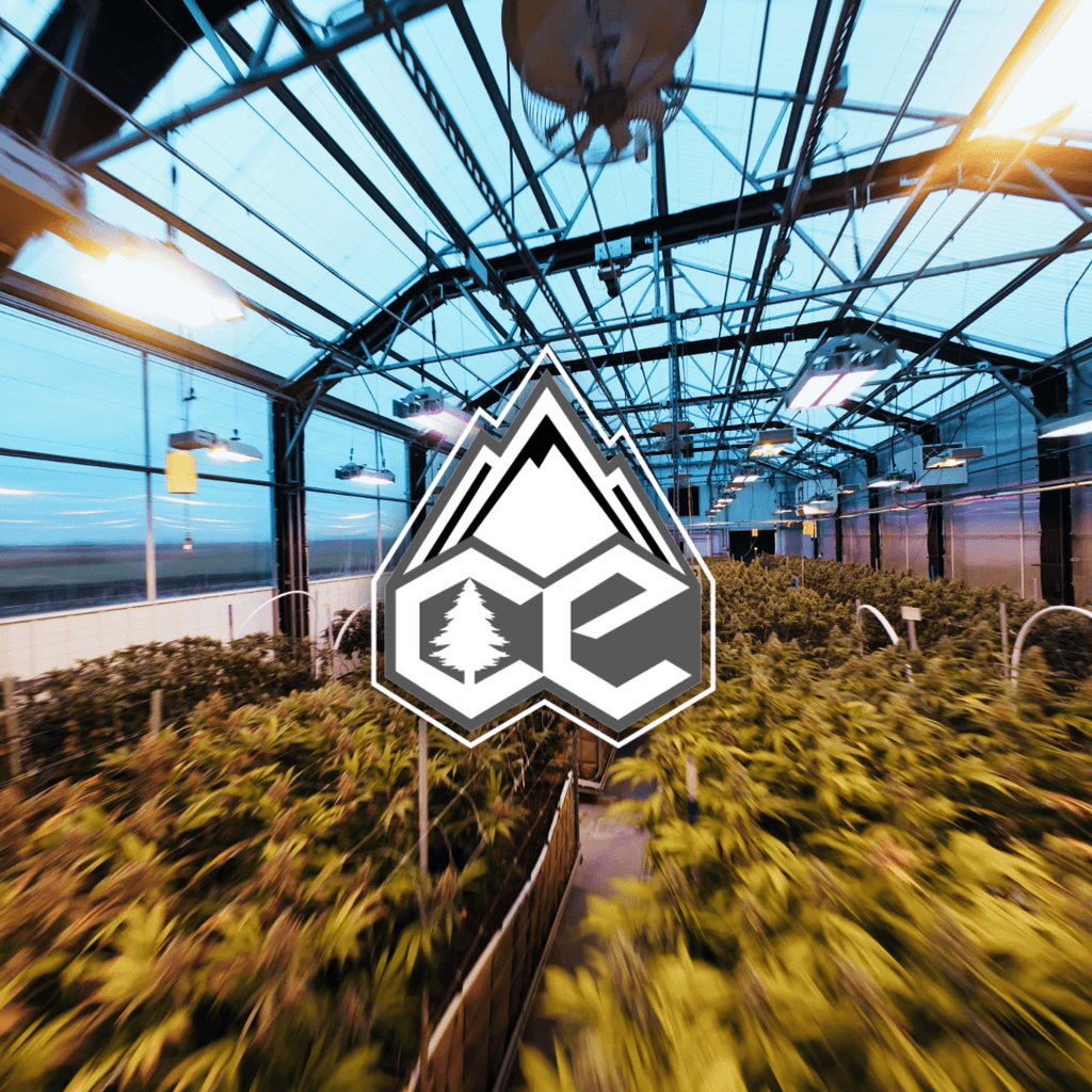 Aerial drone shot inside Collective Elevation’s indoor cannabis grow facility in Bozeman, Montana