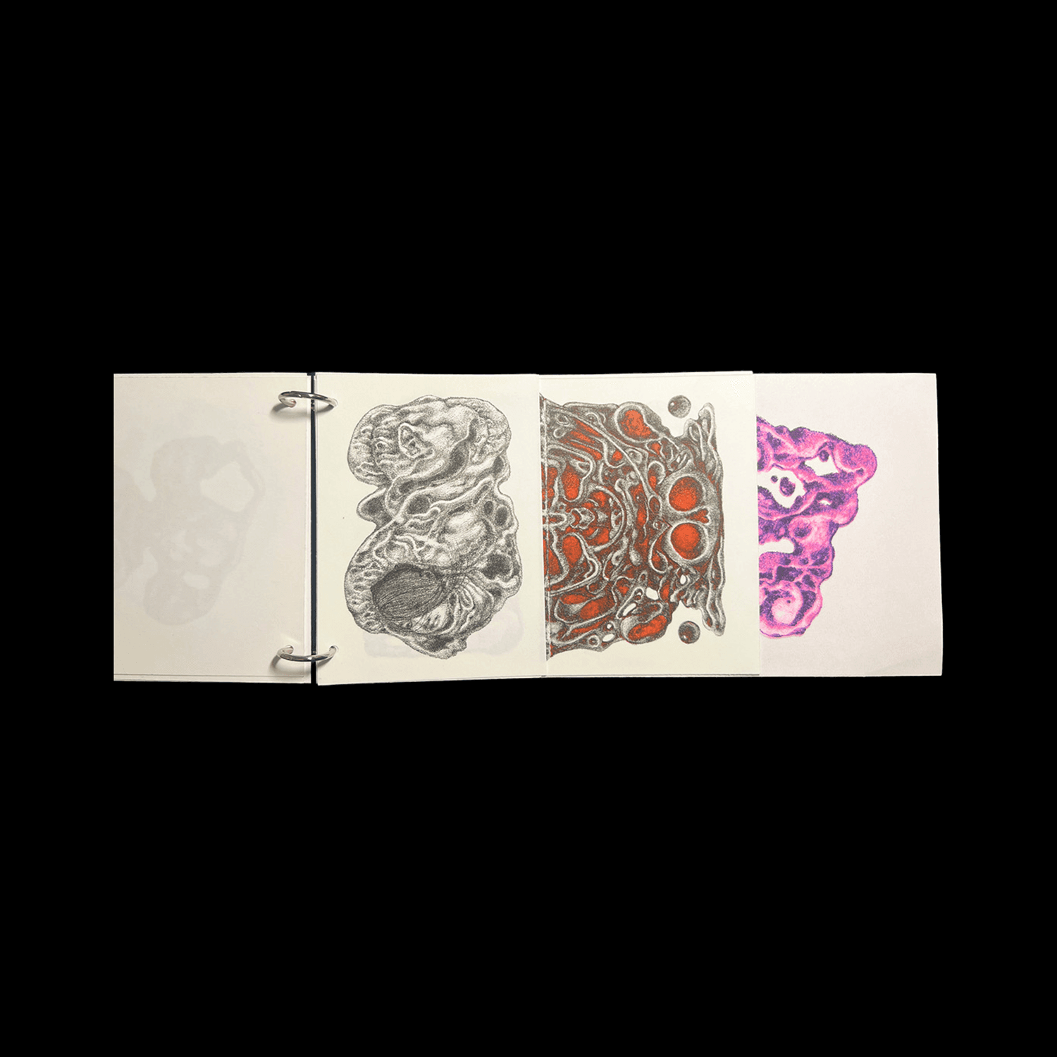 image-3