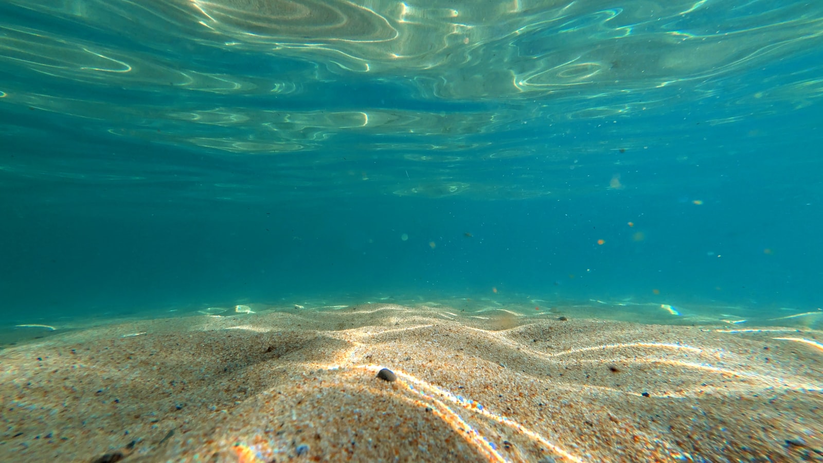 Shallow sandy seafloor lit by sunlight filtering through clear water