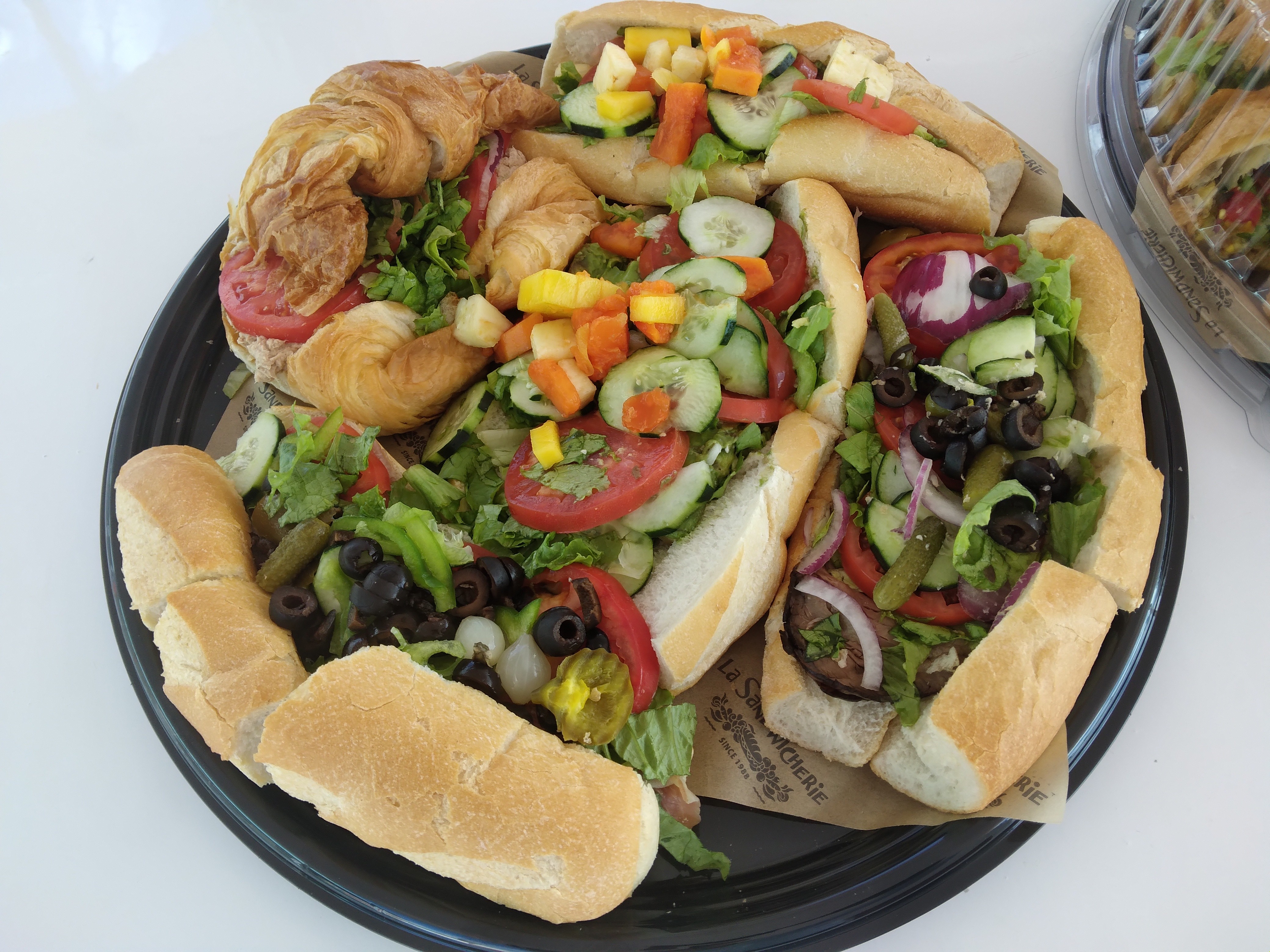 tree in a desert field