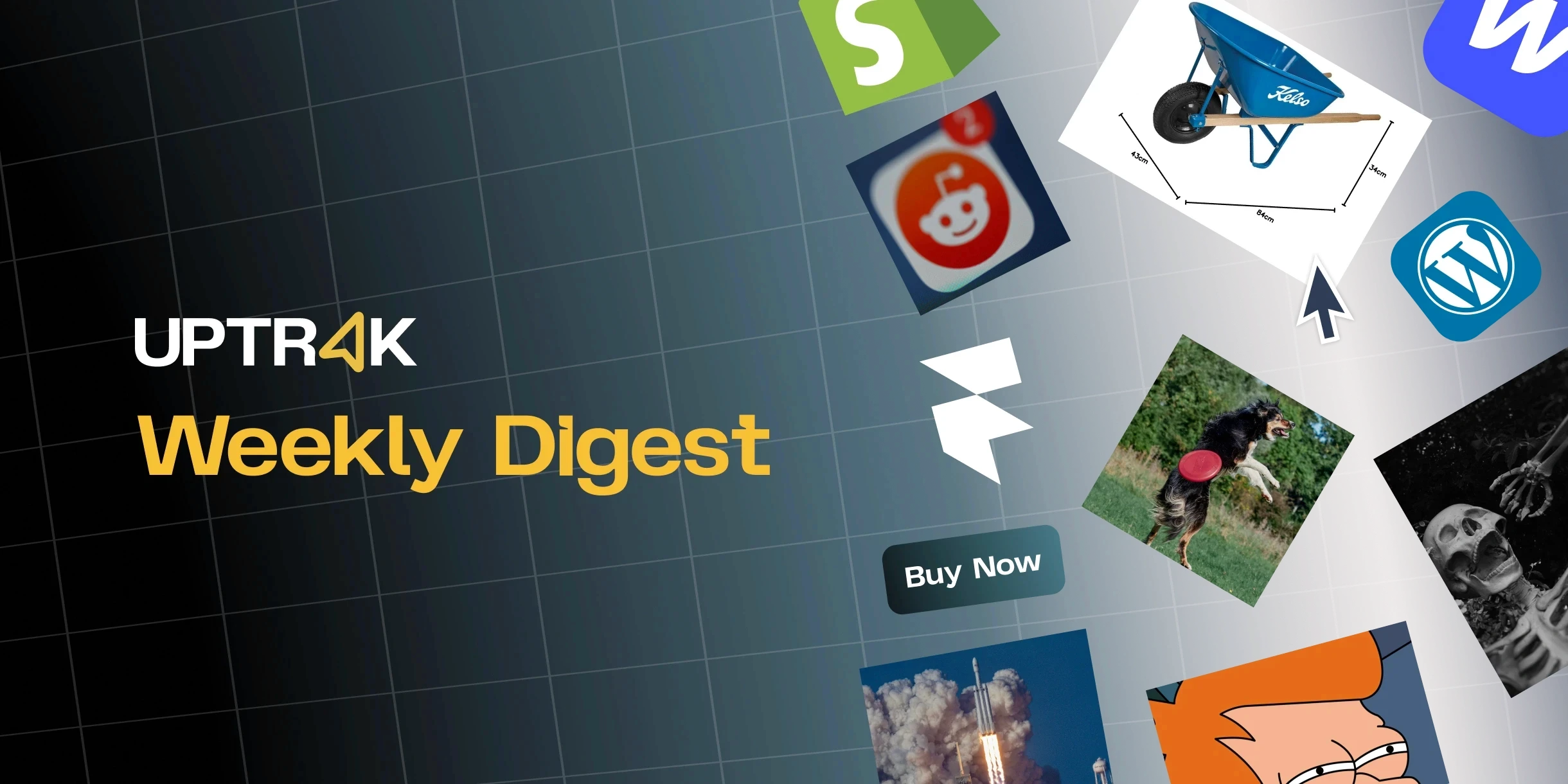 Uptrak Weekly Digest Promo banner