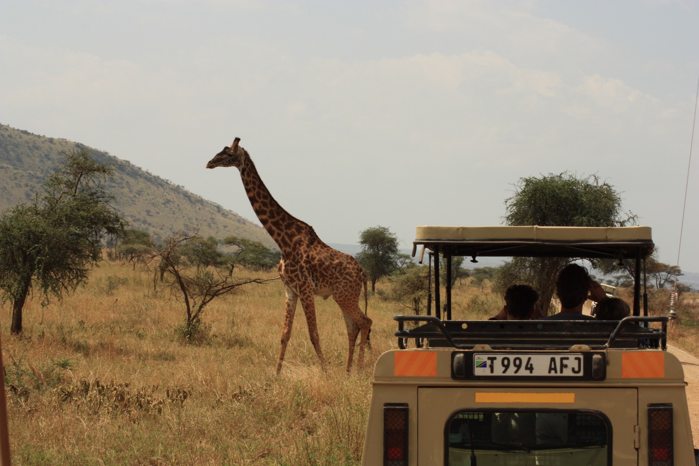 Vakantie naar Afrika, Tanzania - Kembe Safari.