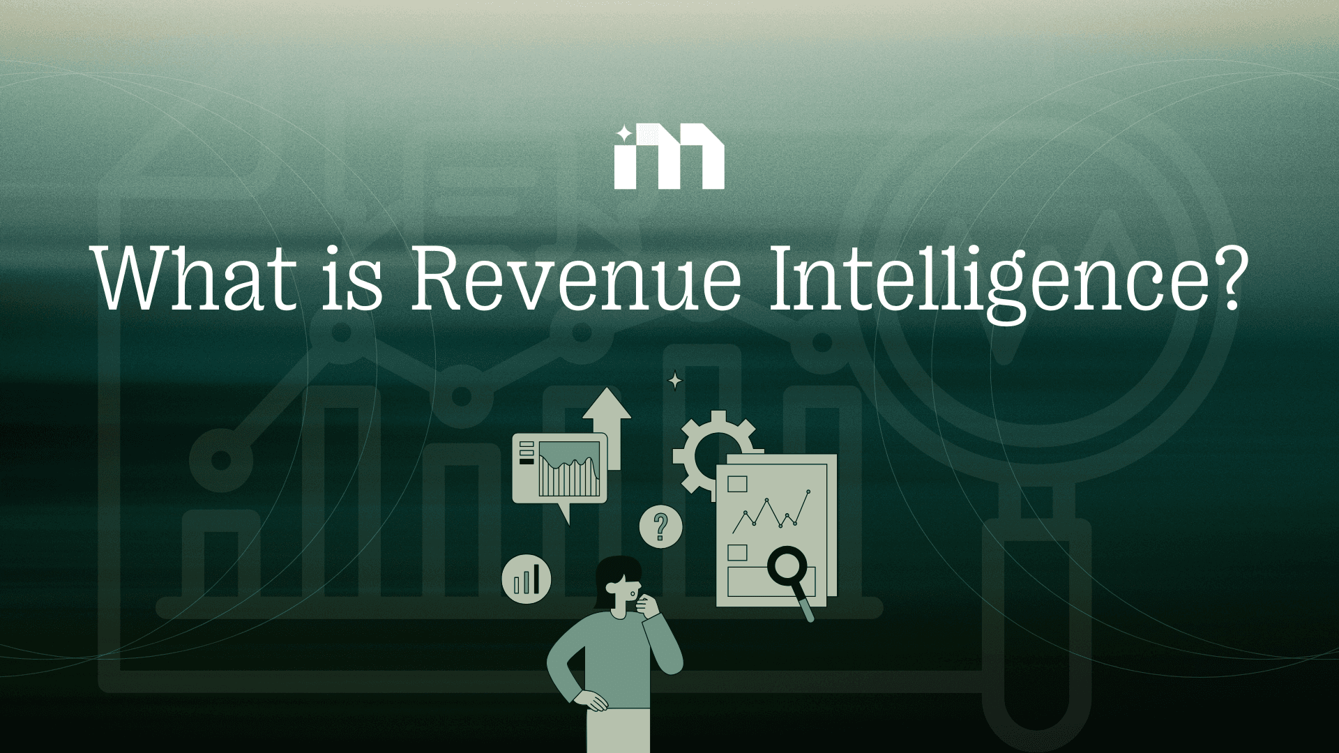 A person trying to undertand reenue inteligence