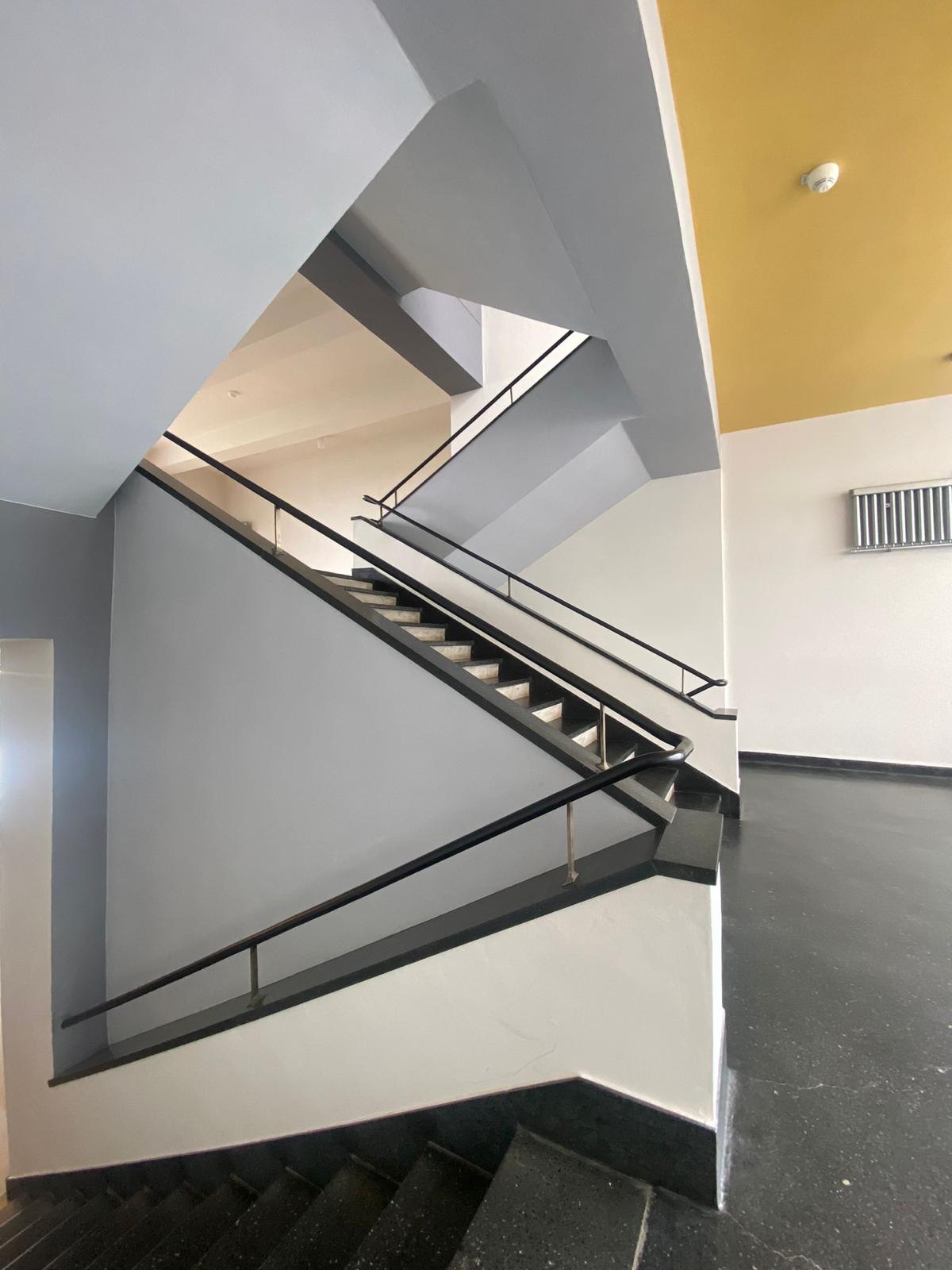 a brown dog sitting on top of a sandy beach