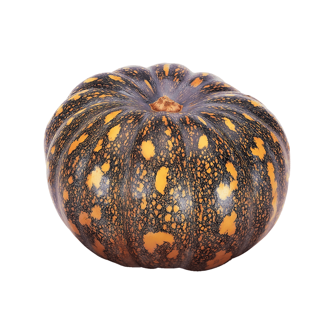 Abóbora-Jacarezinho