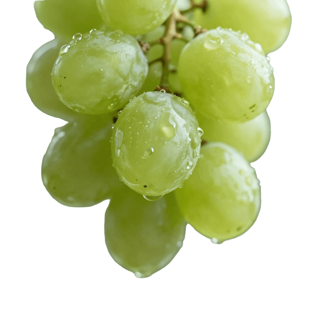 Nutricionista com pinça e balança na mão e alimentos ao redor