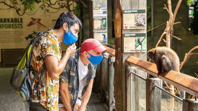 Spend the night at the zoo