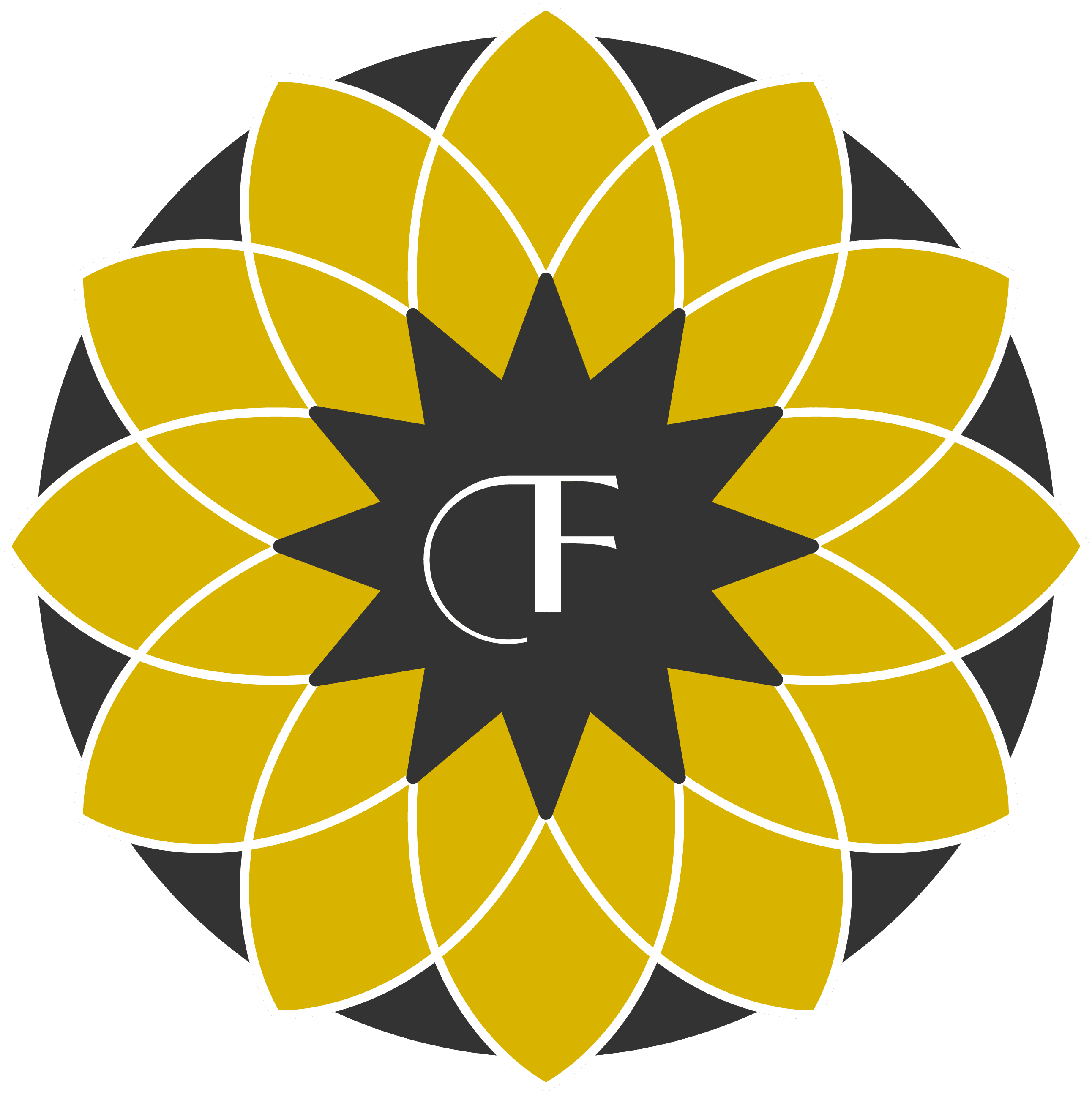 Fayz Oil Logo