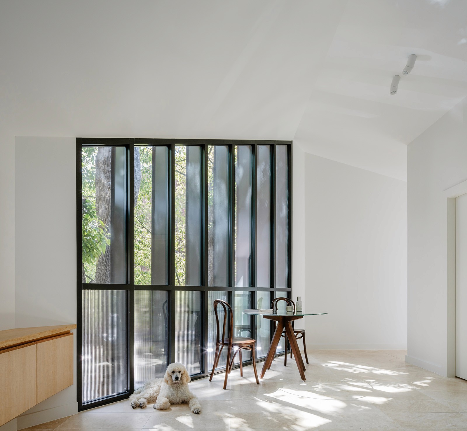 Interior view of the Woollahra Treehouse with operable steel-framed glazing, timber floors, and dappled light casting patterns across the room.