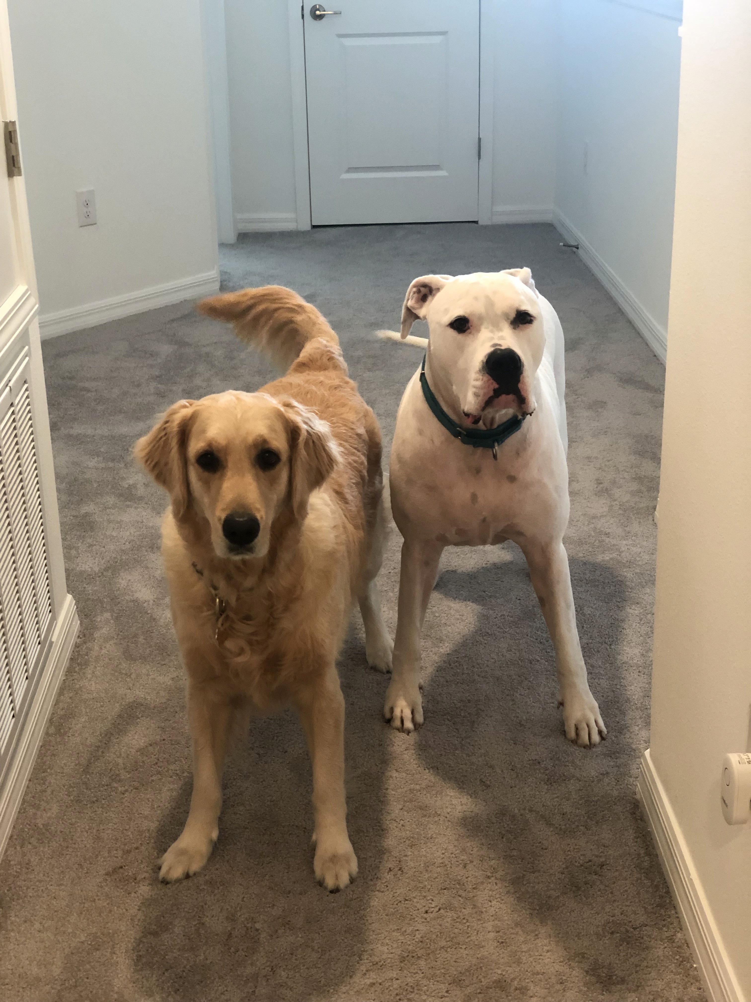 Photo of Hamza as a music producer