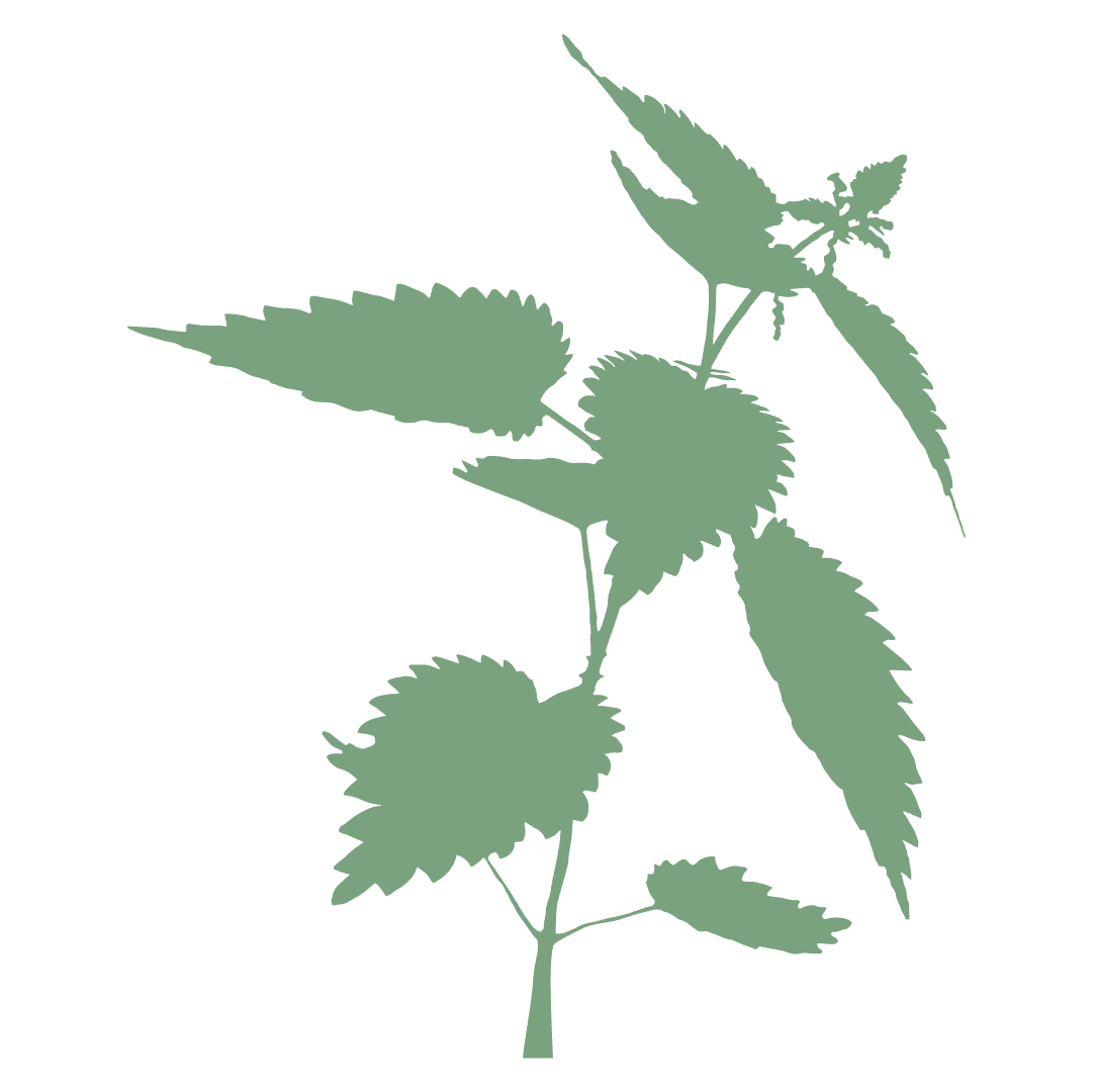 Urtica - logo symbol