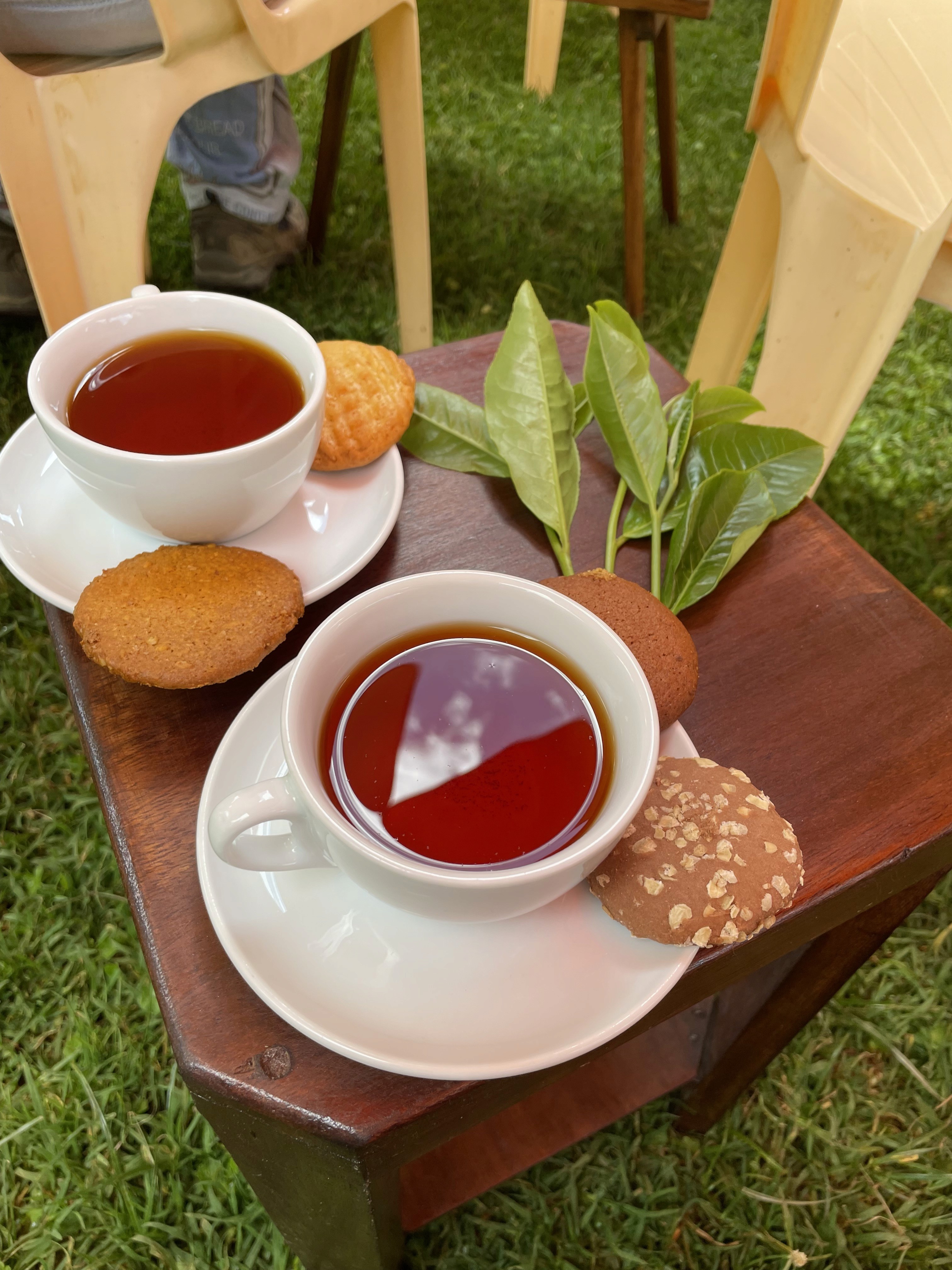 long-coated black and white dog during daytime