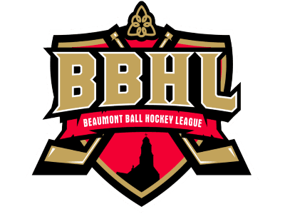 A TeamLinkt Sports League Partner Logo