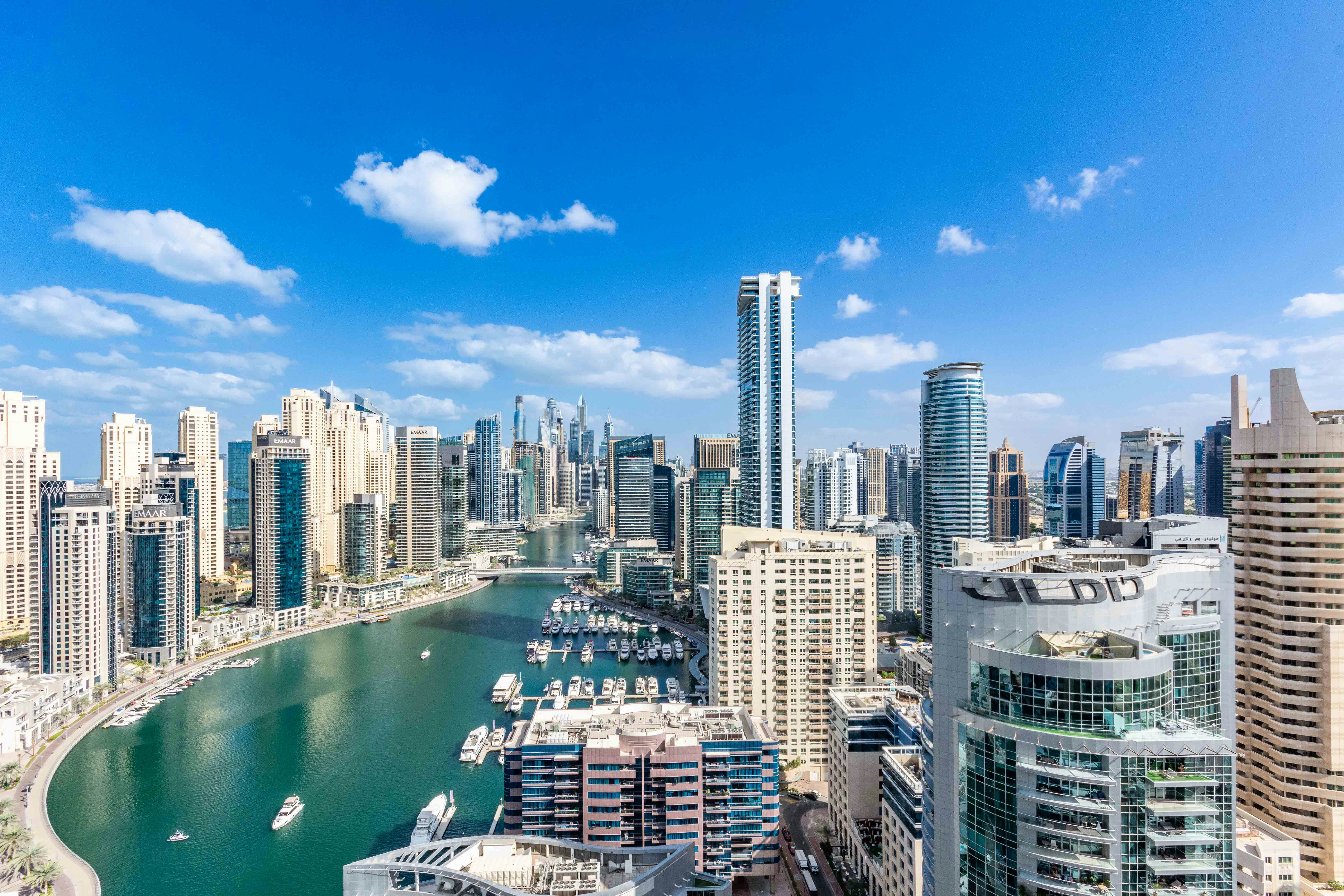 Modern shared workspace setup with green elements for virtual offices in the UAE.
