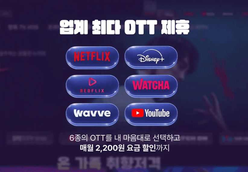 스카이라이프의 업계 최다 OTT 제휴 안내 화면. 넷플릭스, 디즈니+, 레드플릭스, 왓챠, 웨이브, 유튜브 6종 로고와 함께 '6종의 OTT를 내 마음대로 선택하고 매월 2,200원 요금 할인까지'라는 문구가 적힌 홍보 이미지입니다.