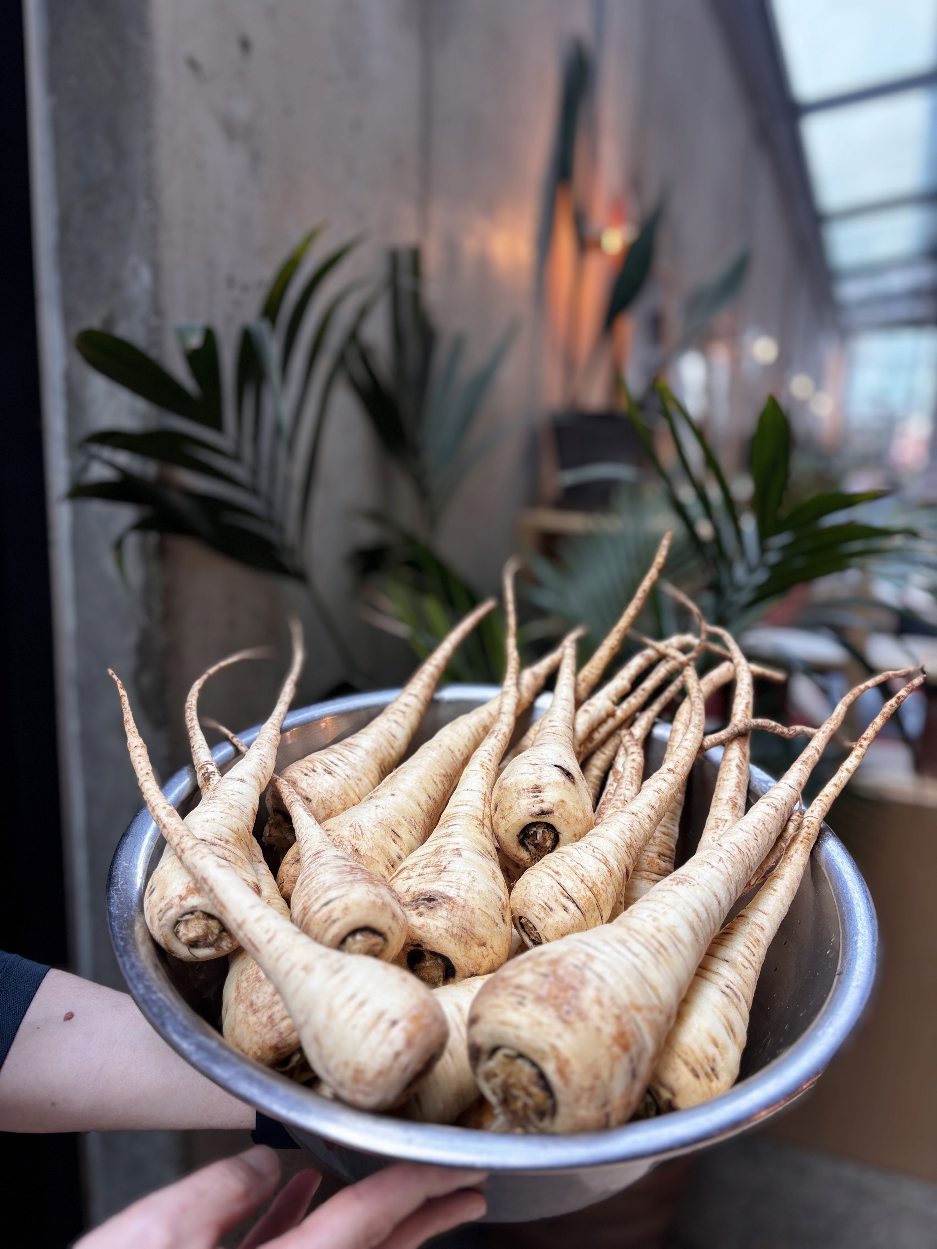 Friendly waiter from As One Restaurant Dublin holding up organically seasoned vegetables to show that it's important to support better and local farming