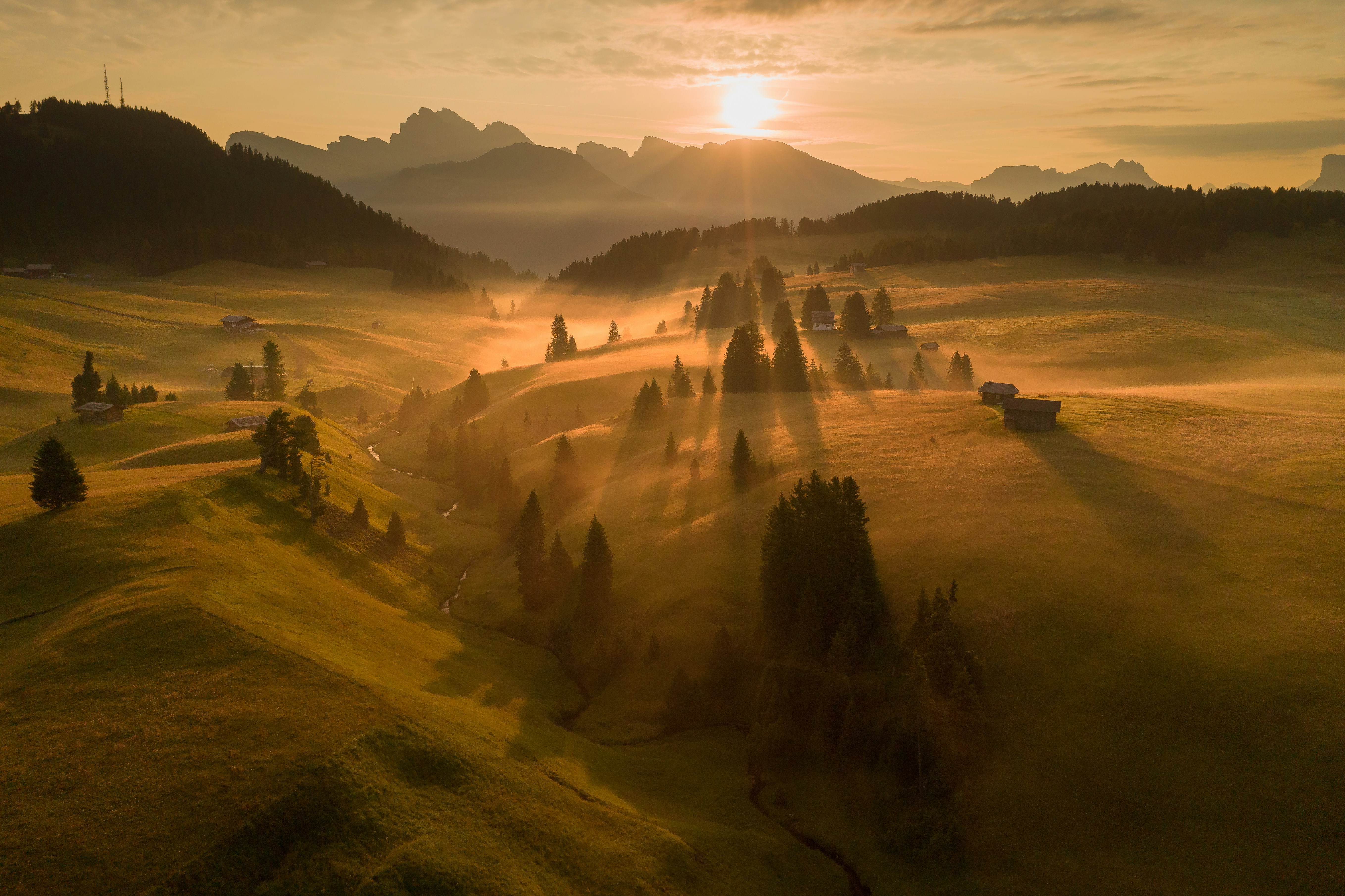 Golden Silence