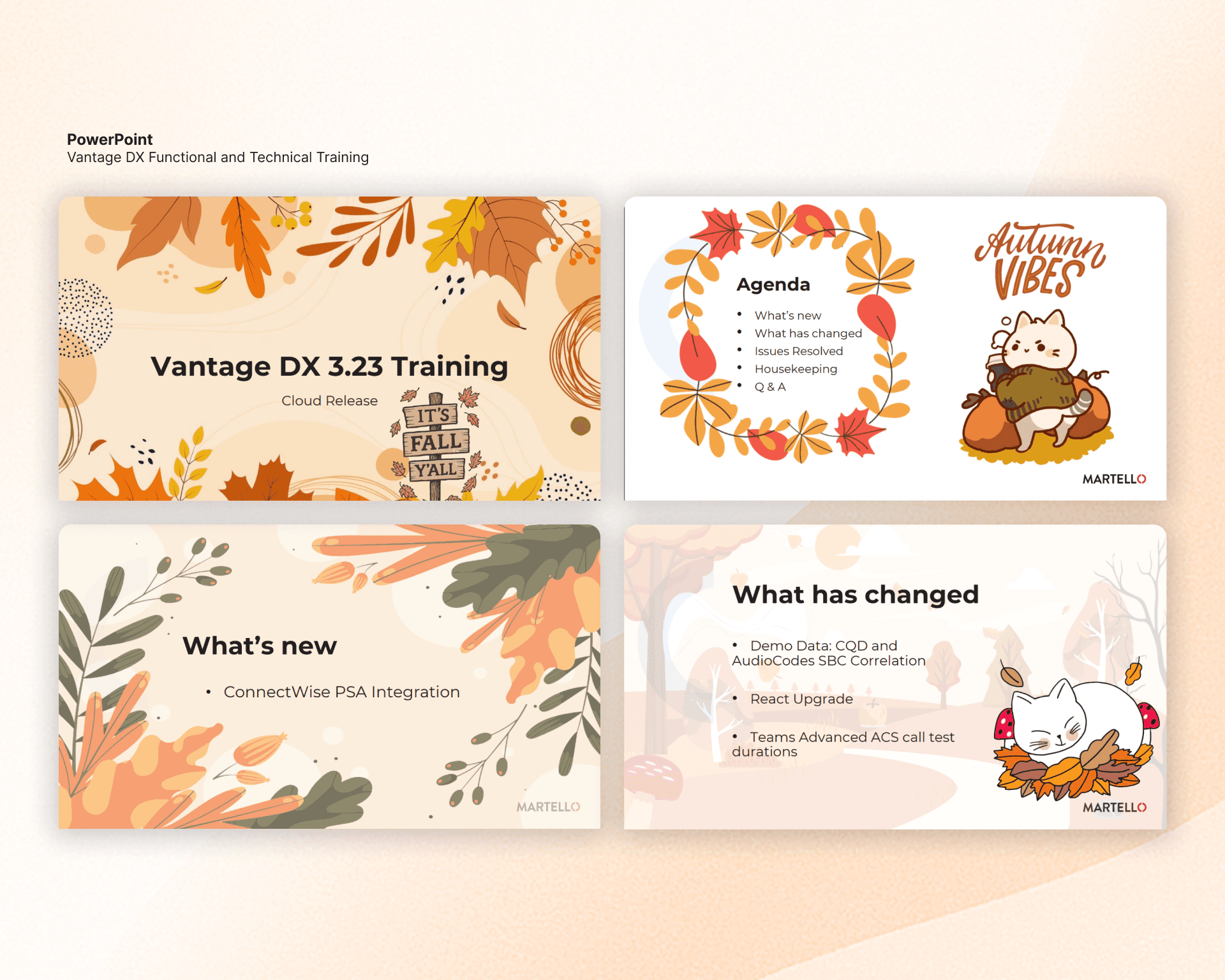 PowerPoint - Vantage DX Functional and Technical Release Training Image