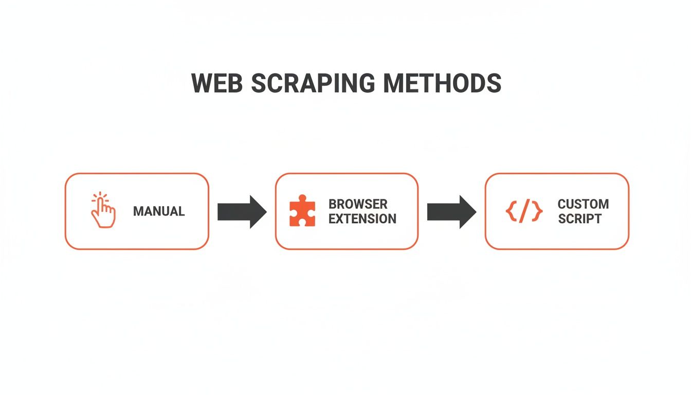 Flowchart illustrating three web scraping methods: Manual, Browser Extension, and Custom Script.