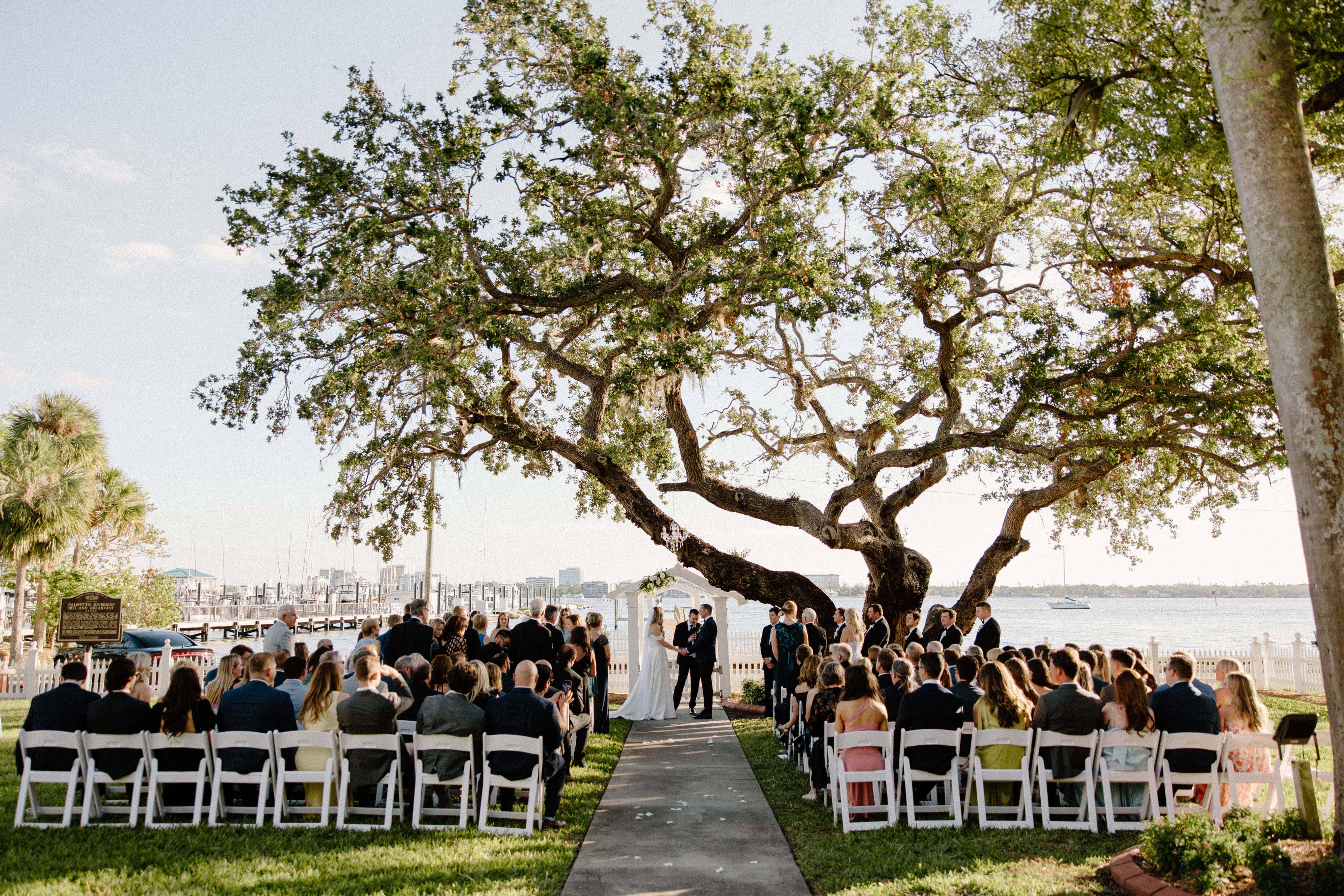 An outdoor wedding reception with a long table and chairs under a large tree, next to a body of water.