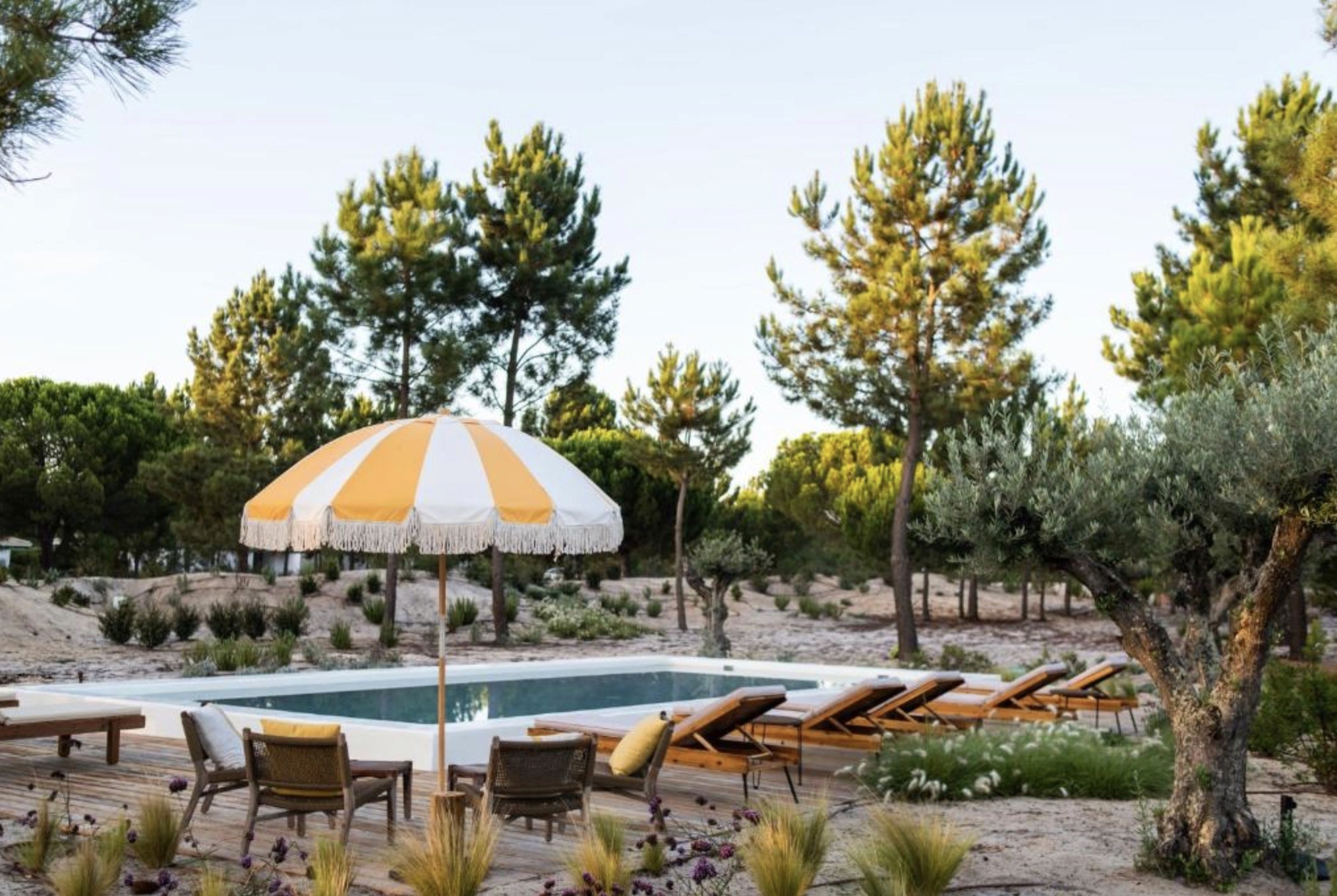 Independente Comporta