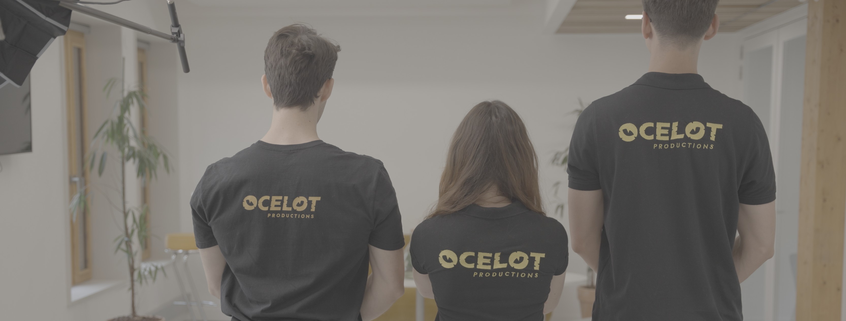 Team working in an office watching at a presentation