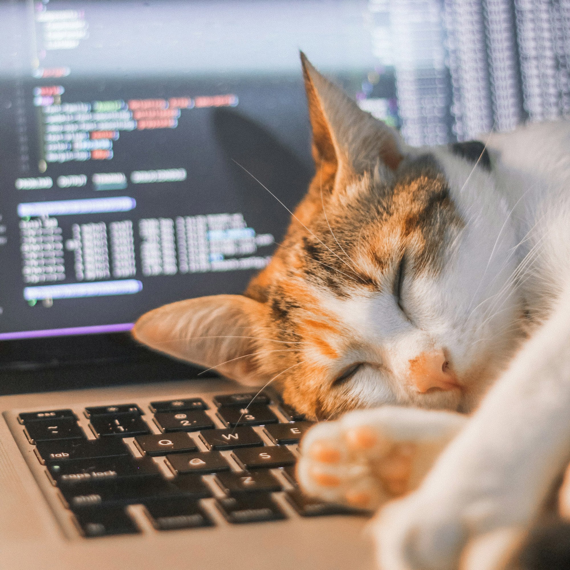 Hands writing a blog post on a notebook PC