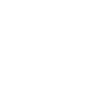 Check Icon