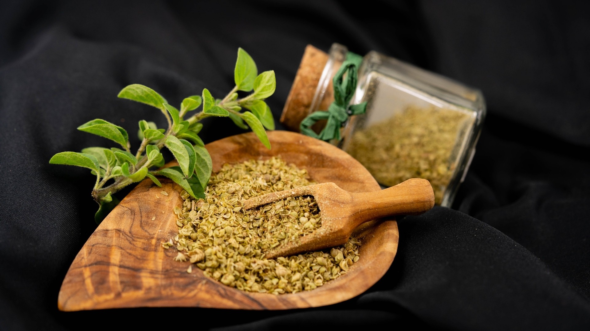 Oregano (Origanum vulgare)