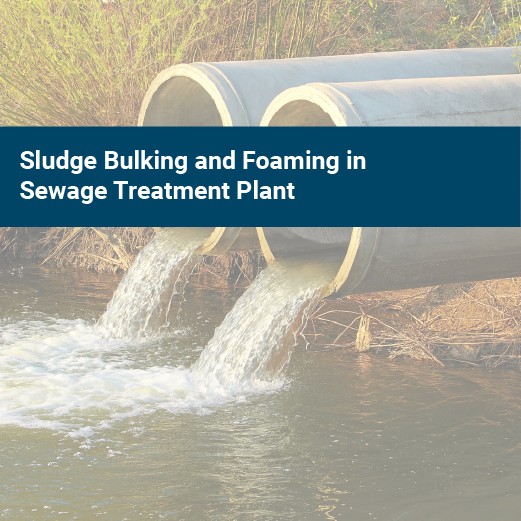 Sludge Bulking and Foaming in STP