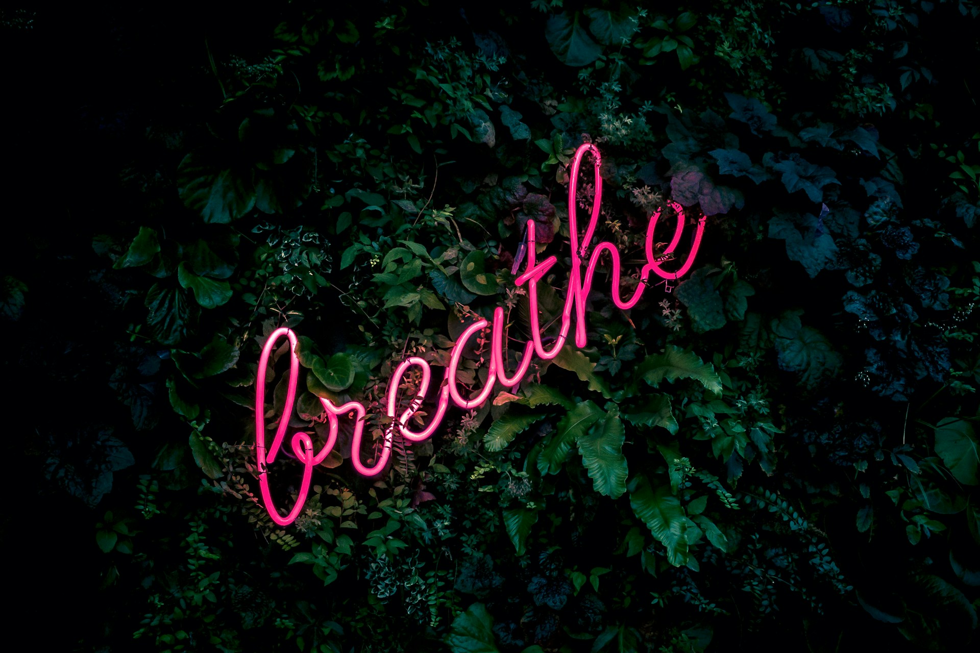 Neon sign saying Breathe, reminding people to think about self-care