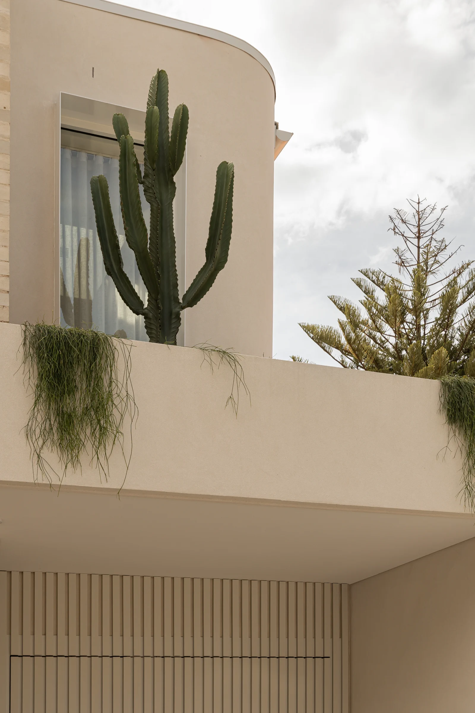 Cactus Feature