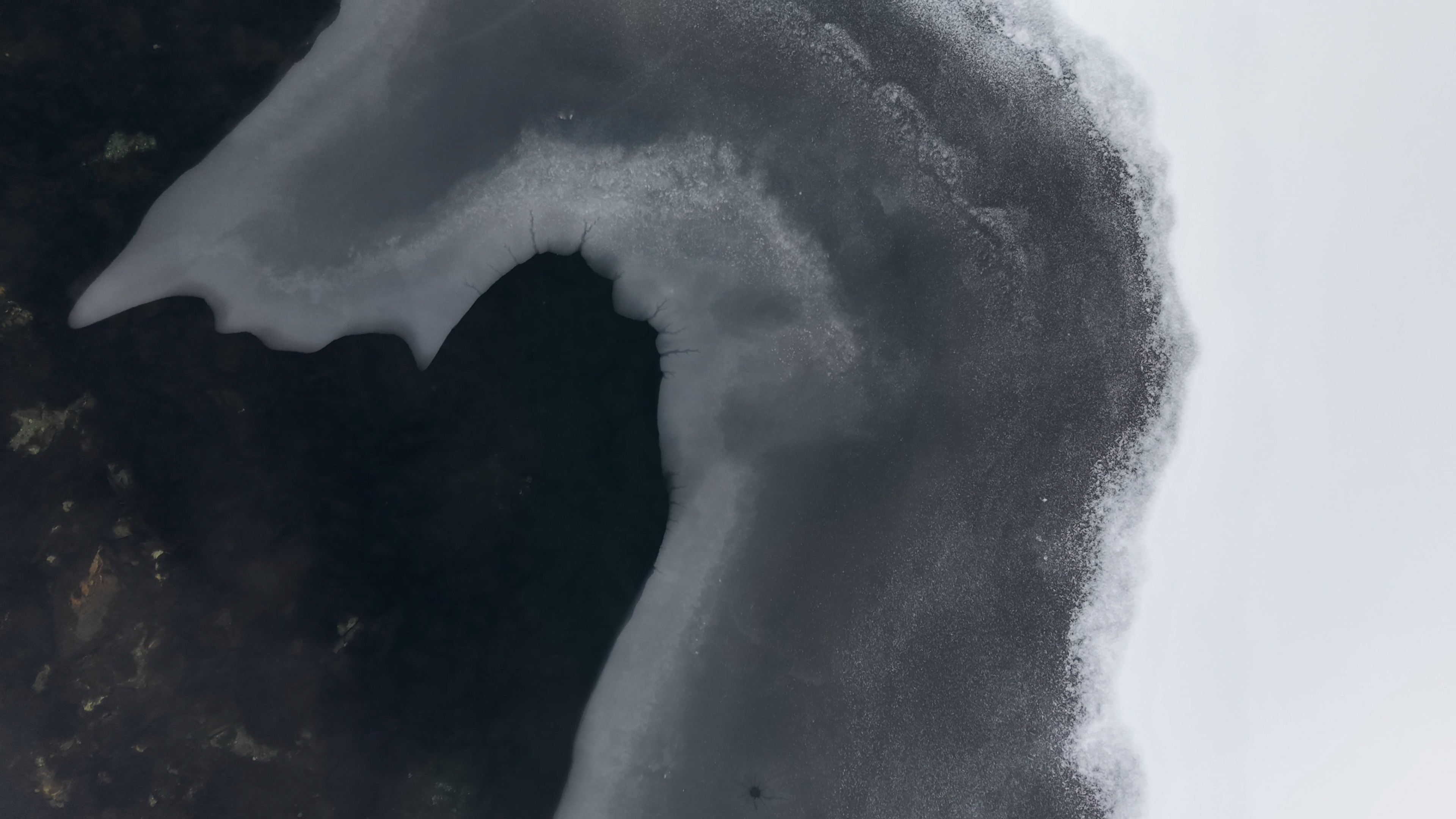 Bellevoire Reception