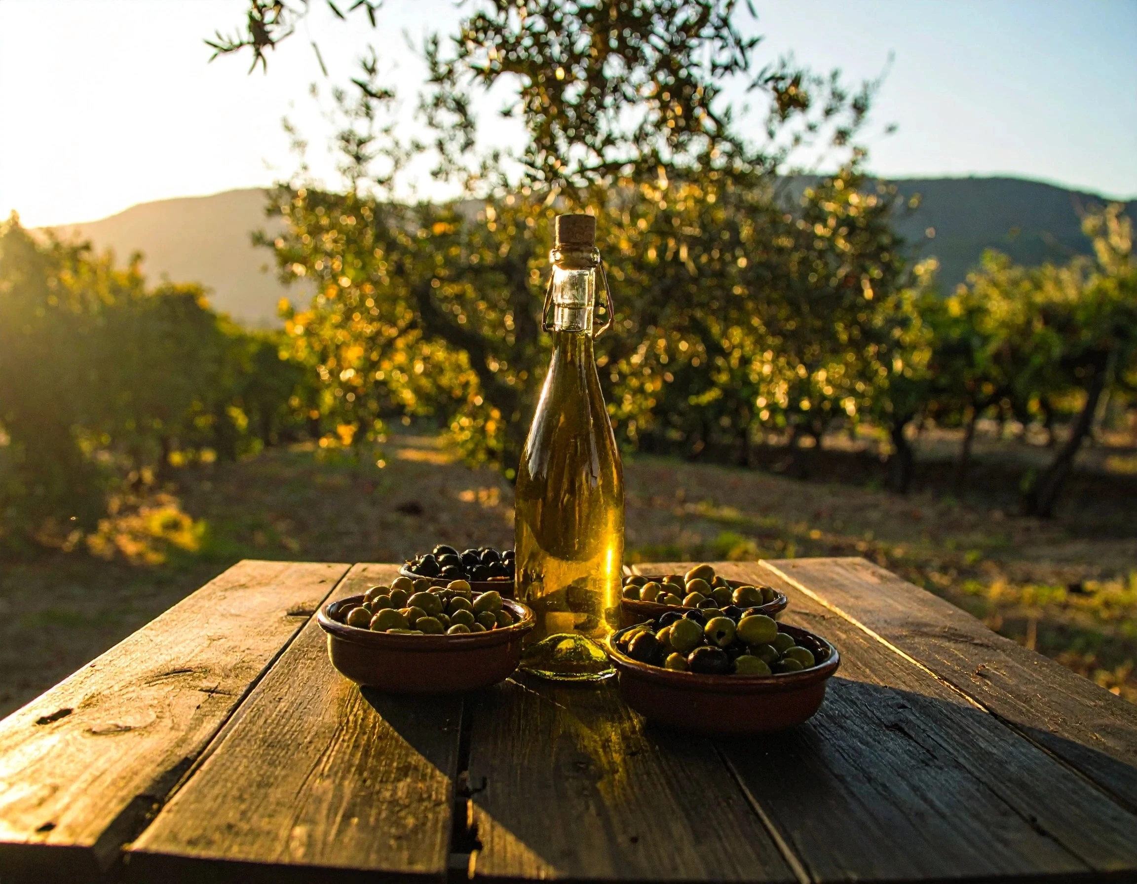 OYM olive oil on a table in a olive oil tree field landscape