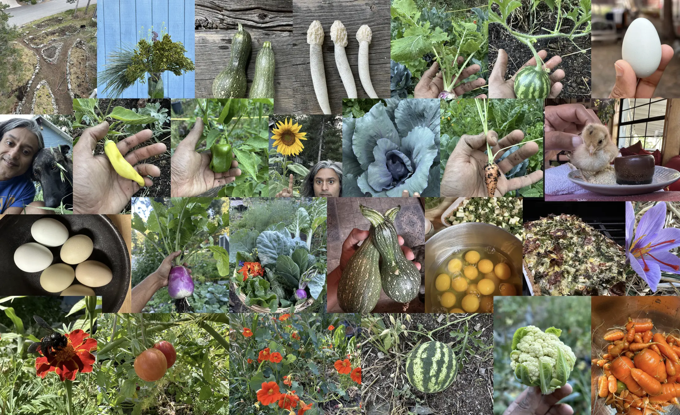 collage of an abundant garden