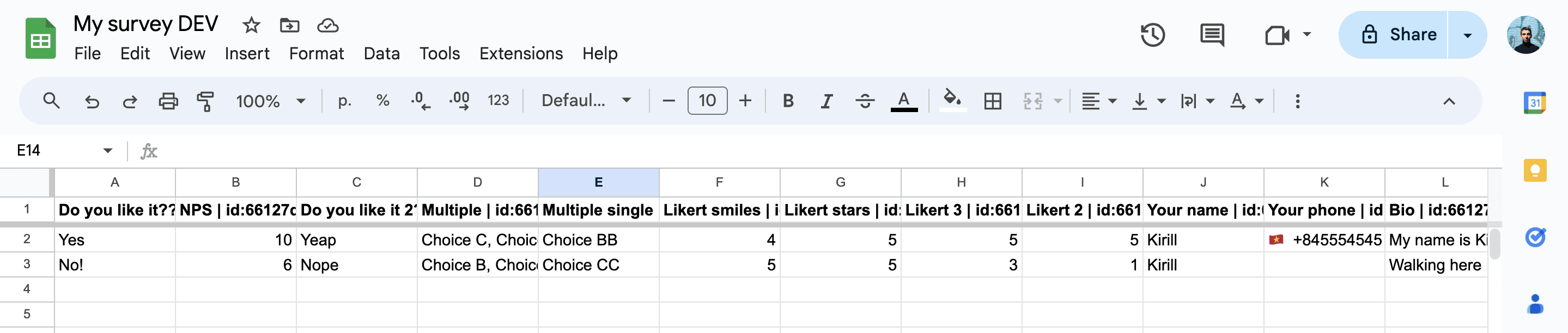 Spreadsheet with survey data
