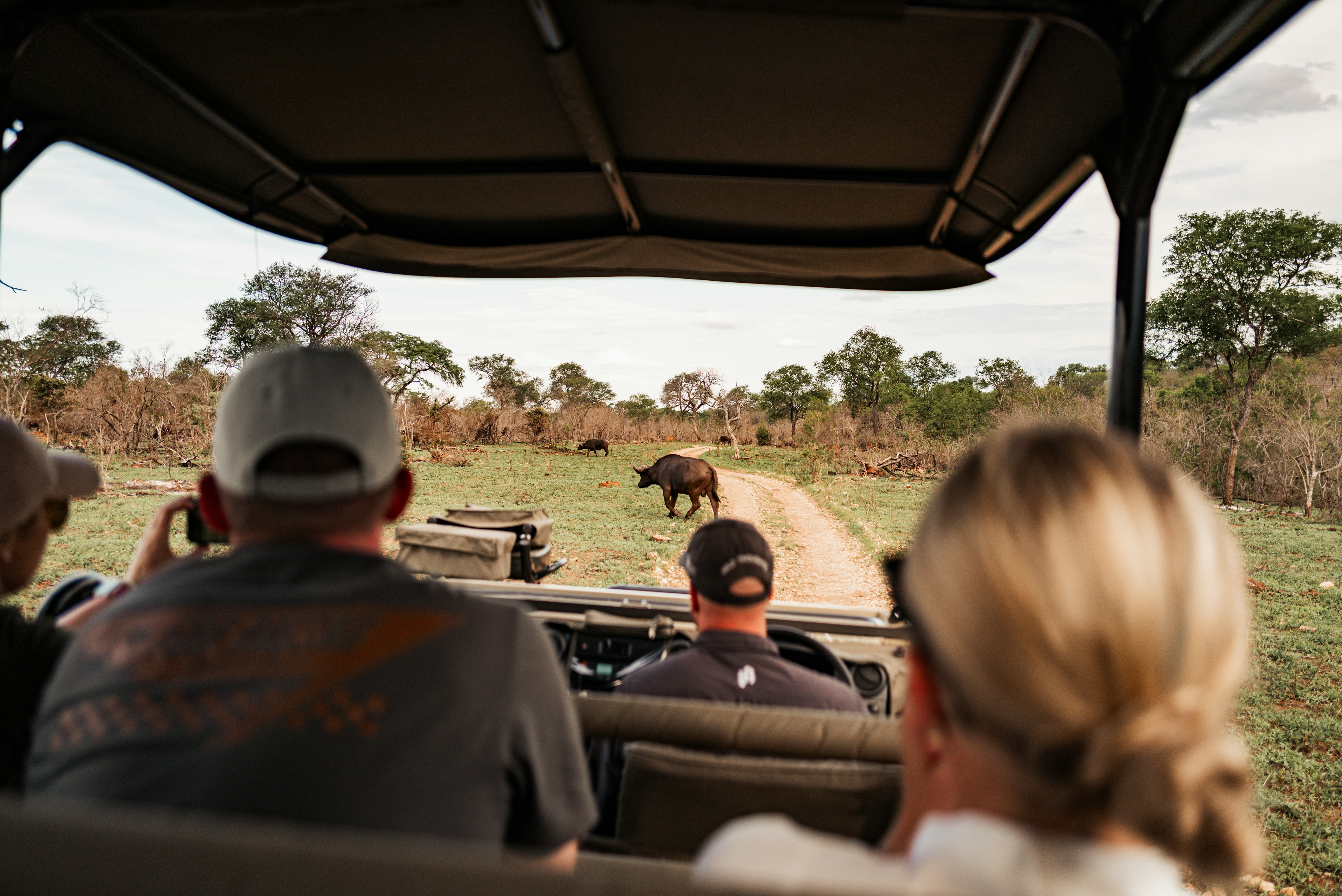 Community-Driven Hobbies That Bring People Together Offline