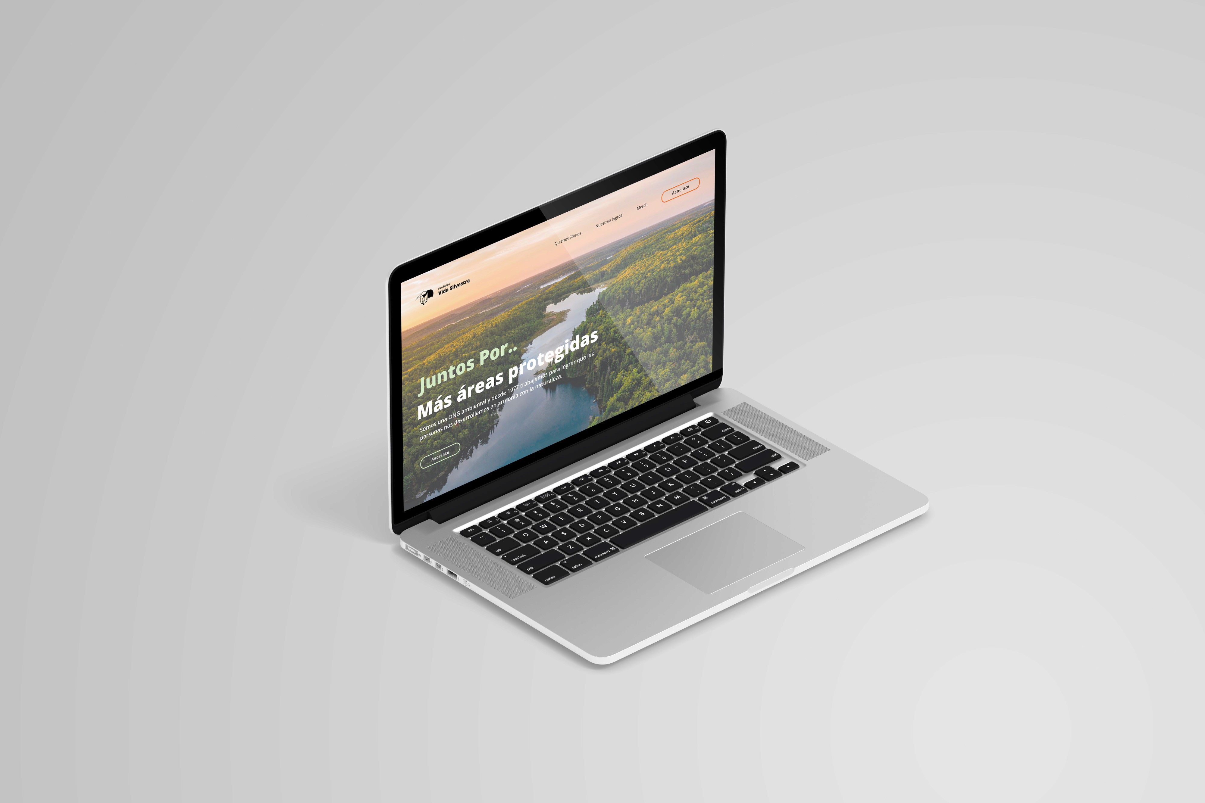 Portfolio project image