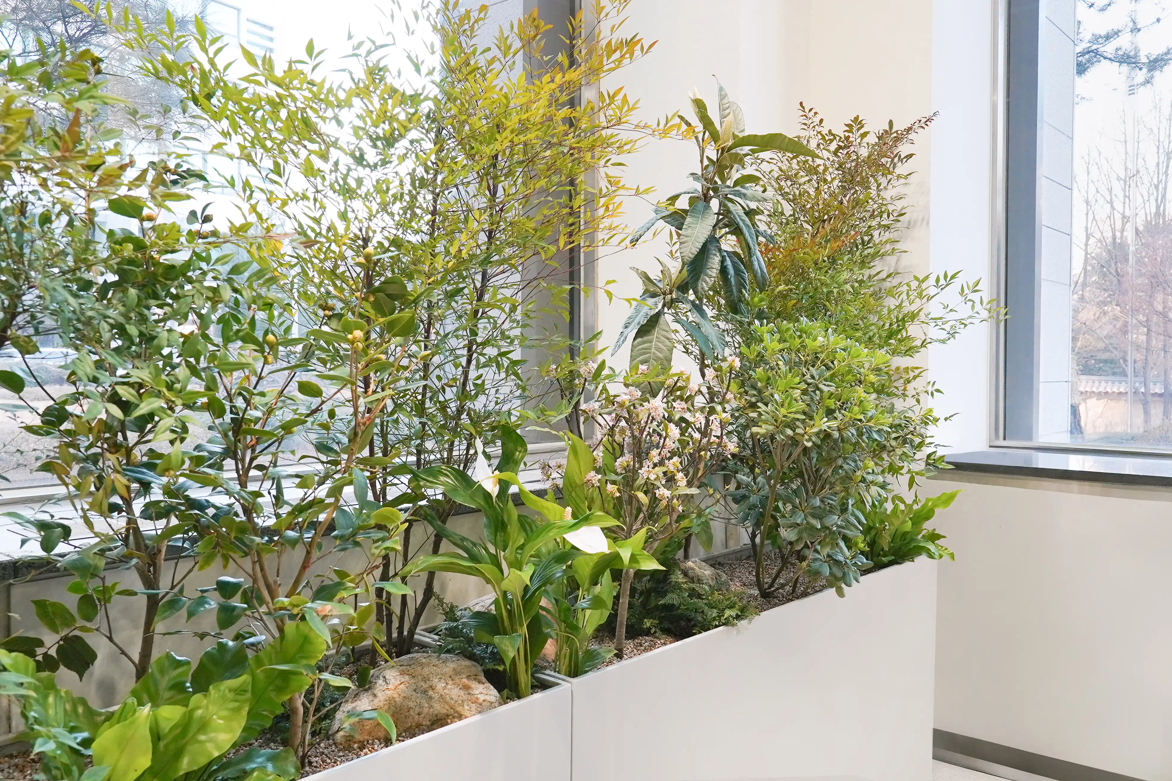 서울시청 로비에 설치된 에코피플의 플랜테리어