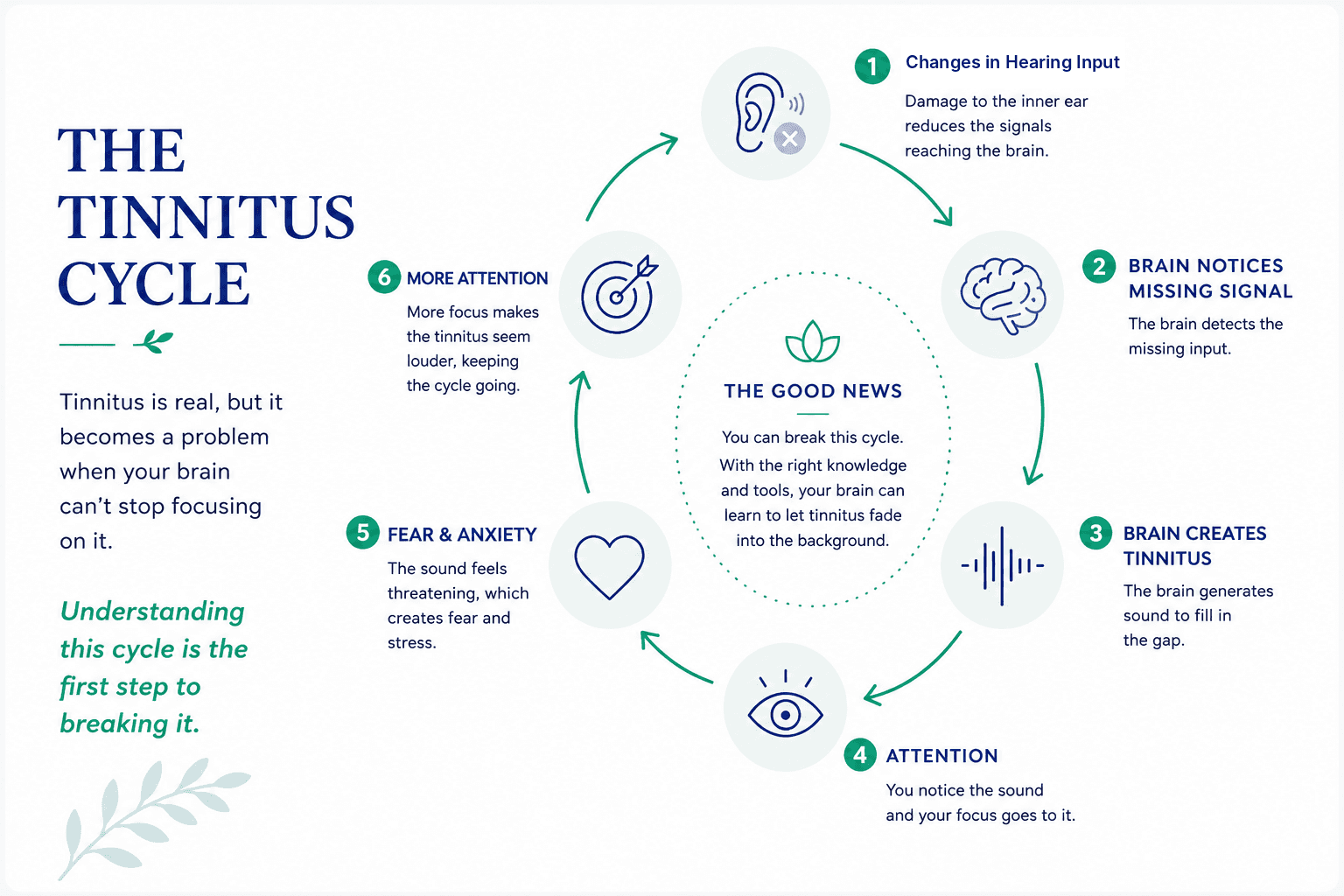 Why tinnitus takes over infographic