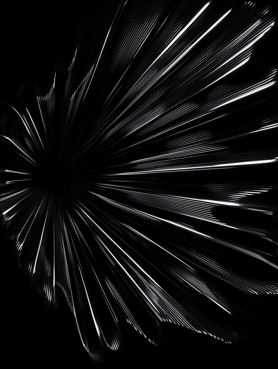 closeup photography of swarm of jellyfish