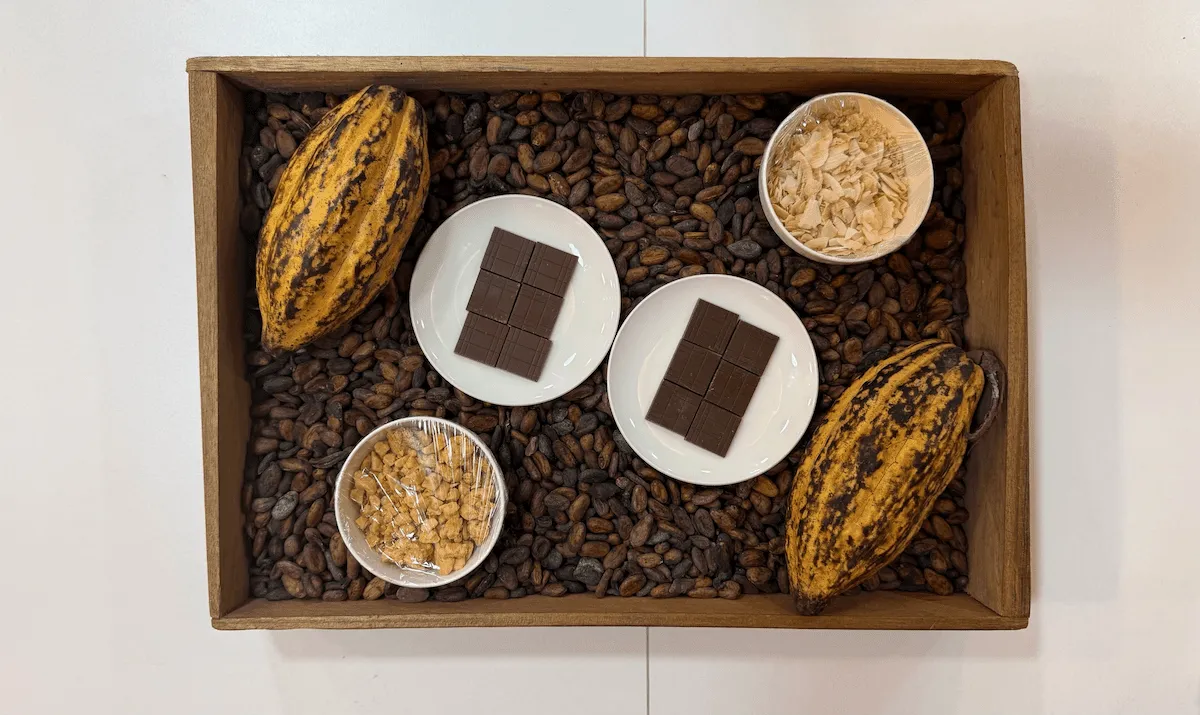 A tray of chocolate bars, fresh cocoa pods, and dried cocoa beans.