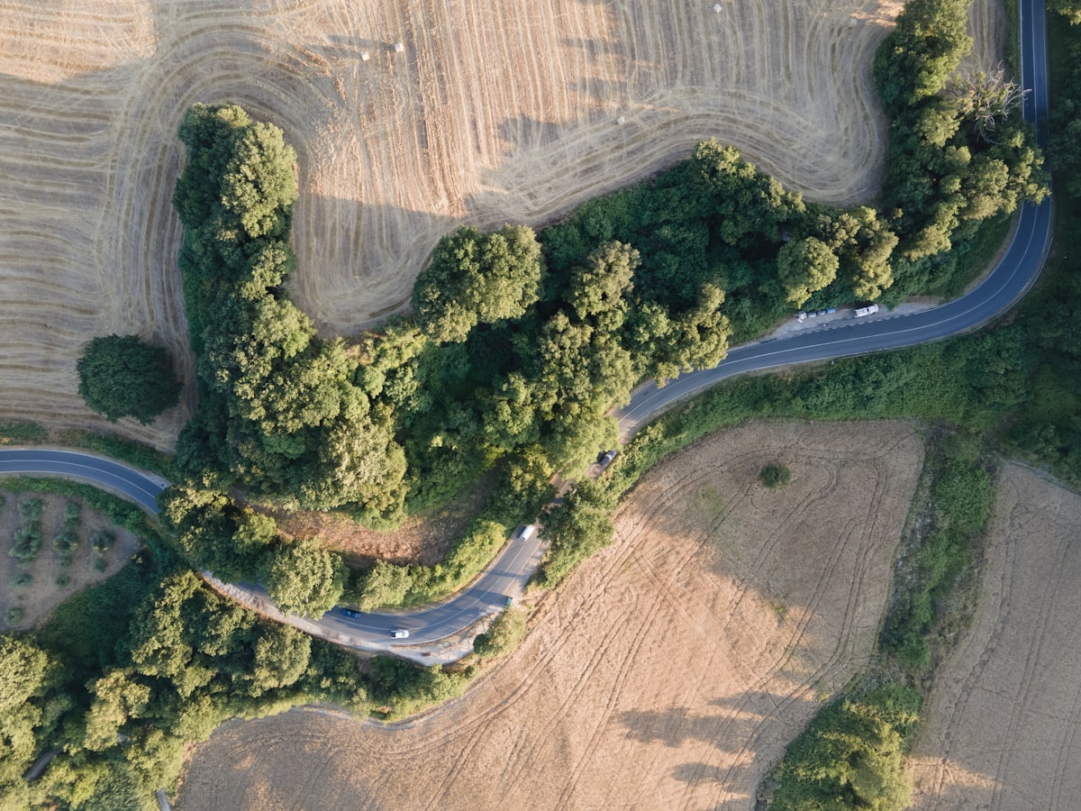 Aerial view of a winding country road through Tuscan trees, the kind of route where a rental car earns its keep in Italy