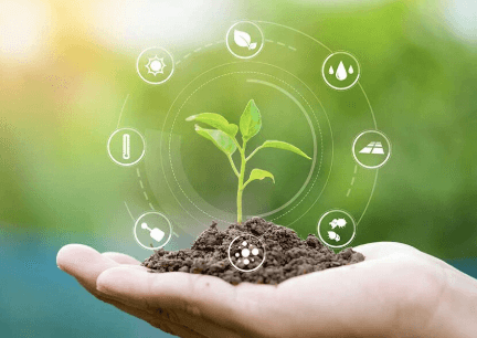 Sustainable landscaper Newton