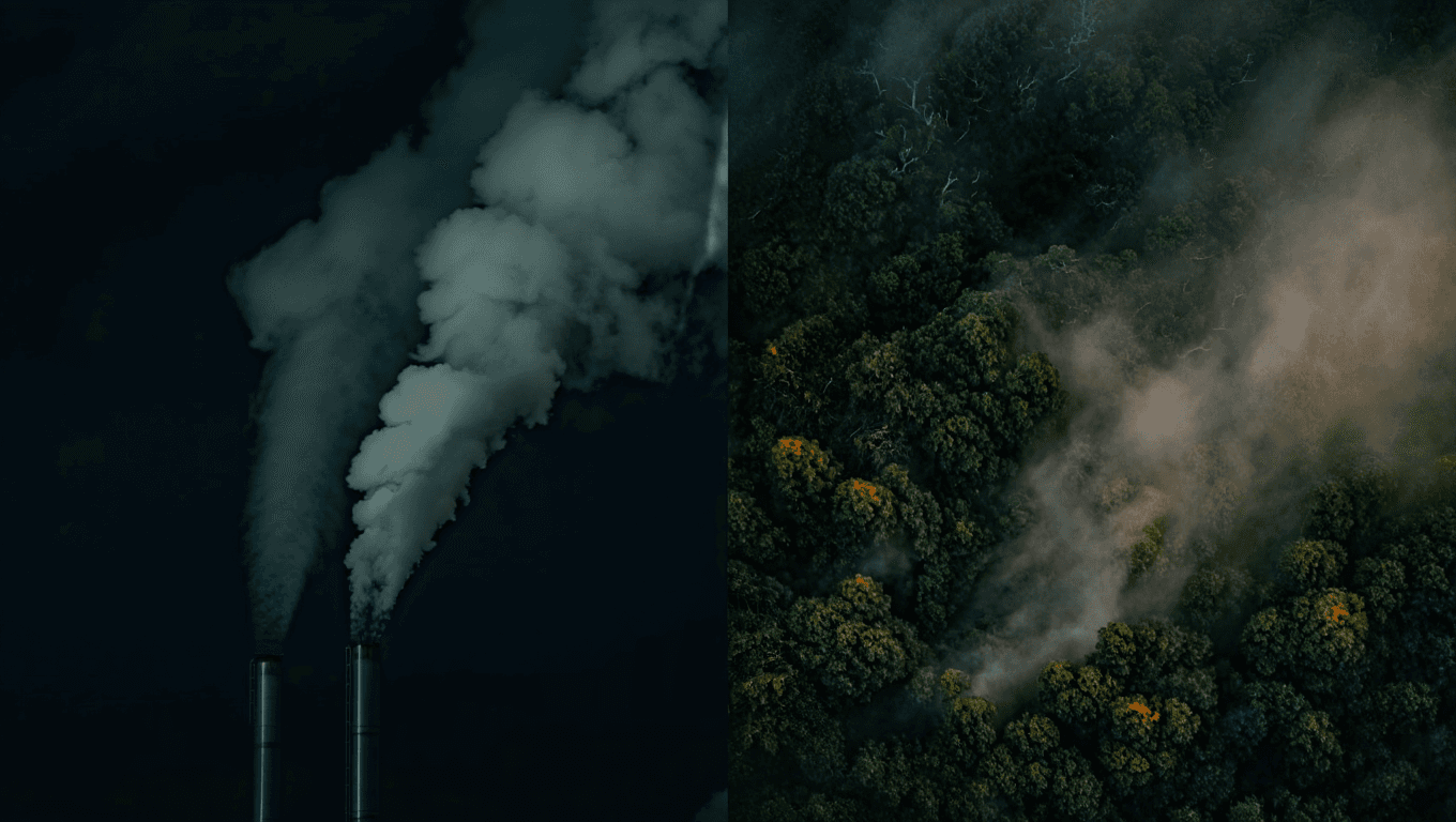 Carbon Neutrality Is a Daily Practice, Not a Destination
