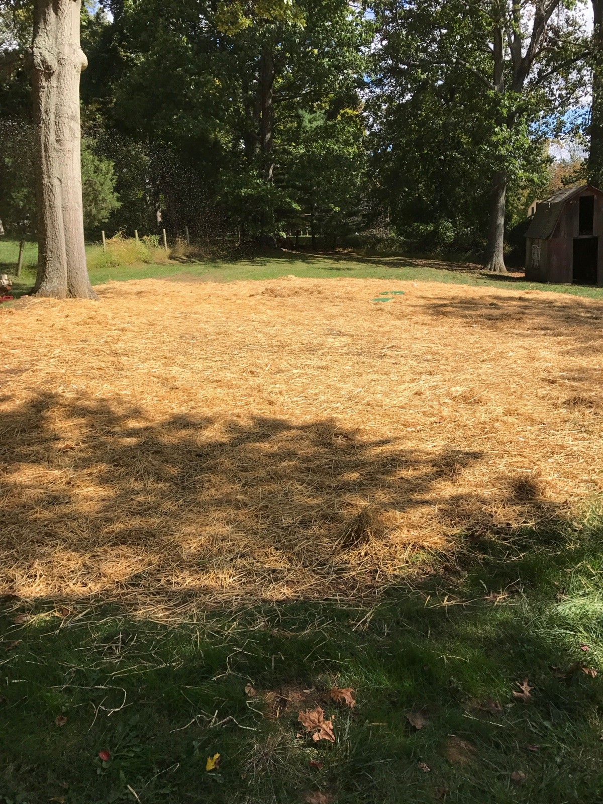 Lay has been laid on dirt yard