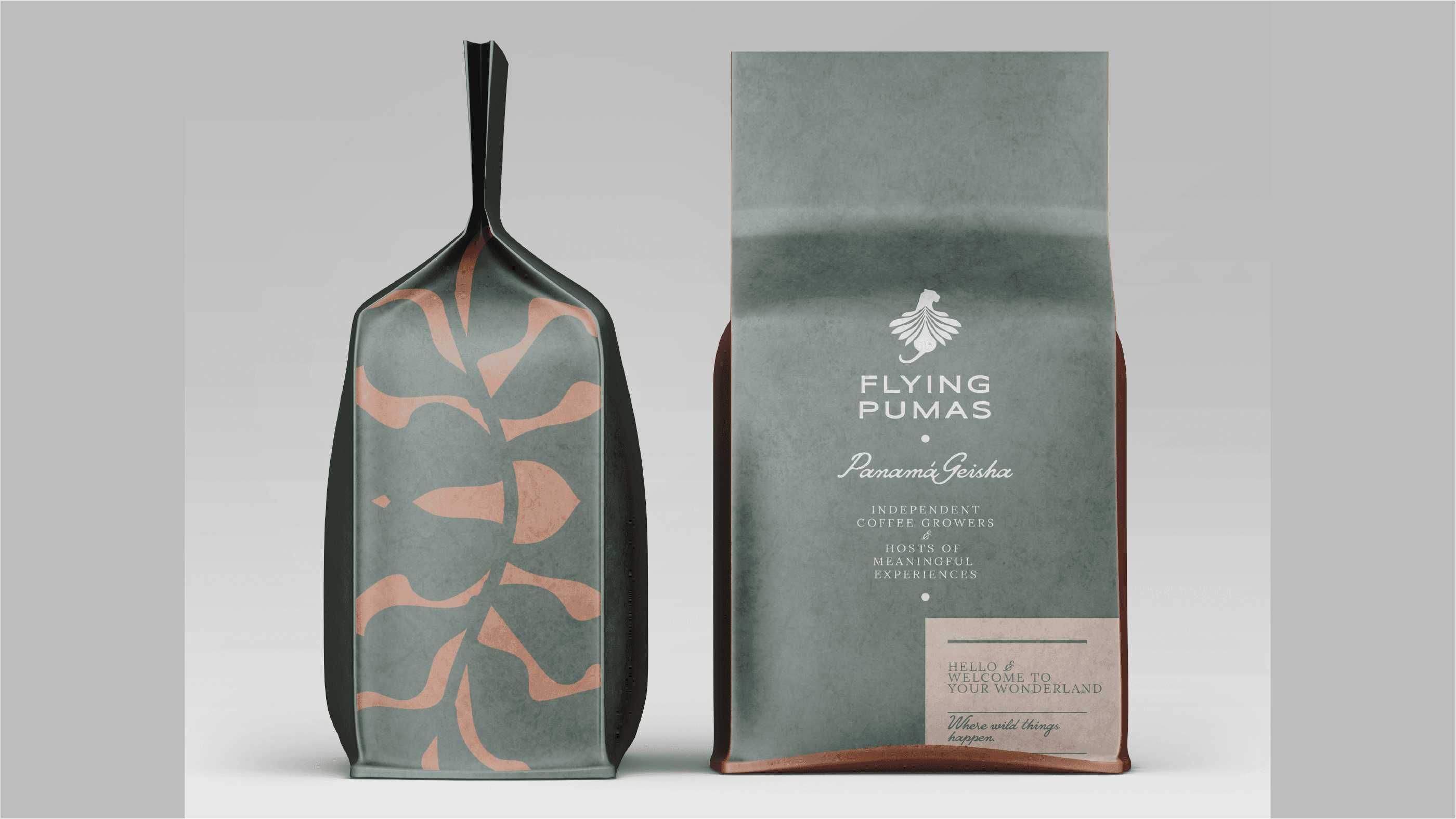 streetwear magazine campaign models