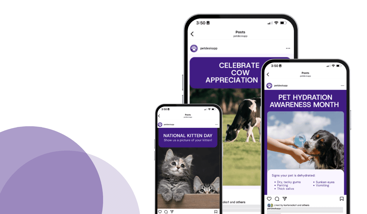 11 creative veterinary marketing ideas to use in July
