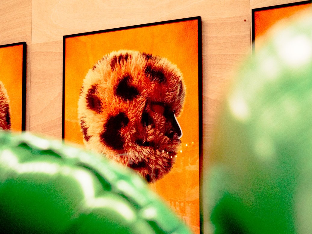 A close-up view of a framed artwork hanging on a wooden wall at a convention booth. The artwork features the silhouette of Lampard, the drumer of the band Loveboy and His Imaginary Friends. He is a large, fuzzy, wildcat-like animal. He's standing against a vibrant orange background, with his eyes half closed the photo shows him captured in movement, as is rotating his head towards the camera. Parts of the image are obscured by blurred green inflatable objects in the foreground, adding depth to the composition.