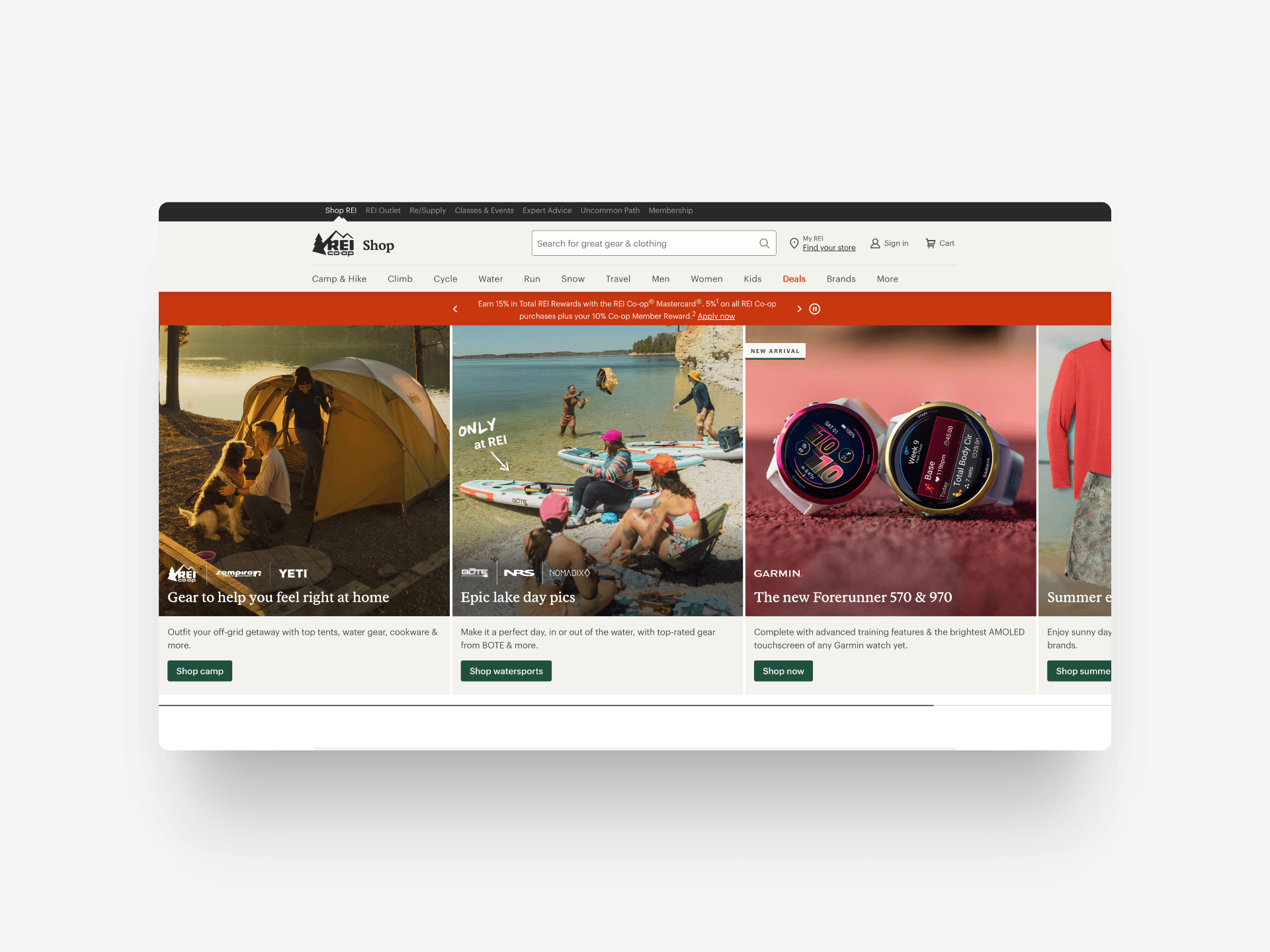 REI Website snippet